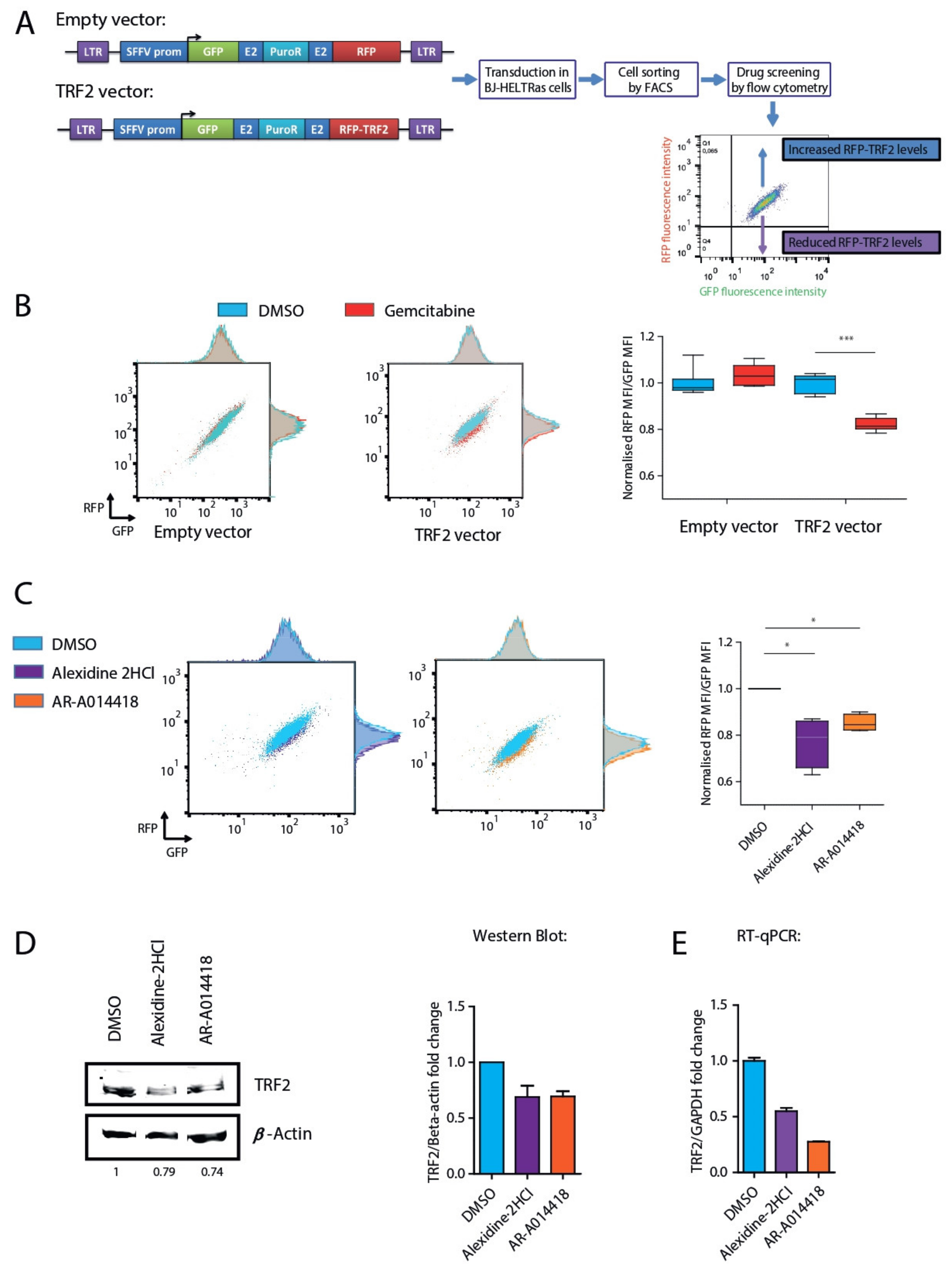 Cancers 13 02998 g001