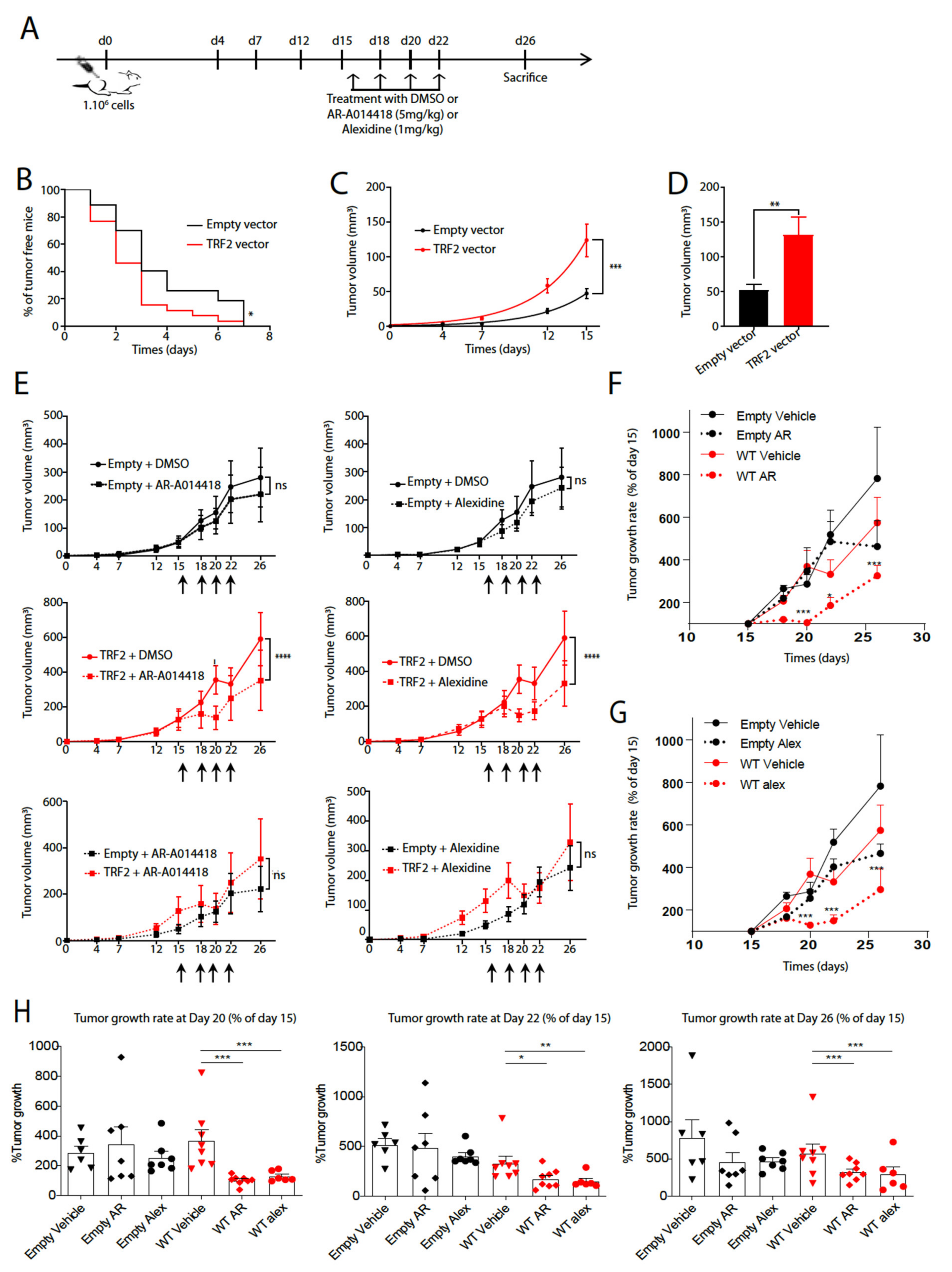 Cancers 13 02998 g002