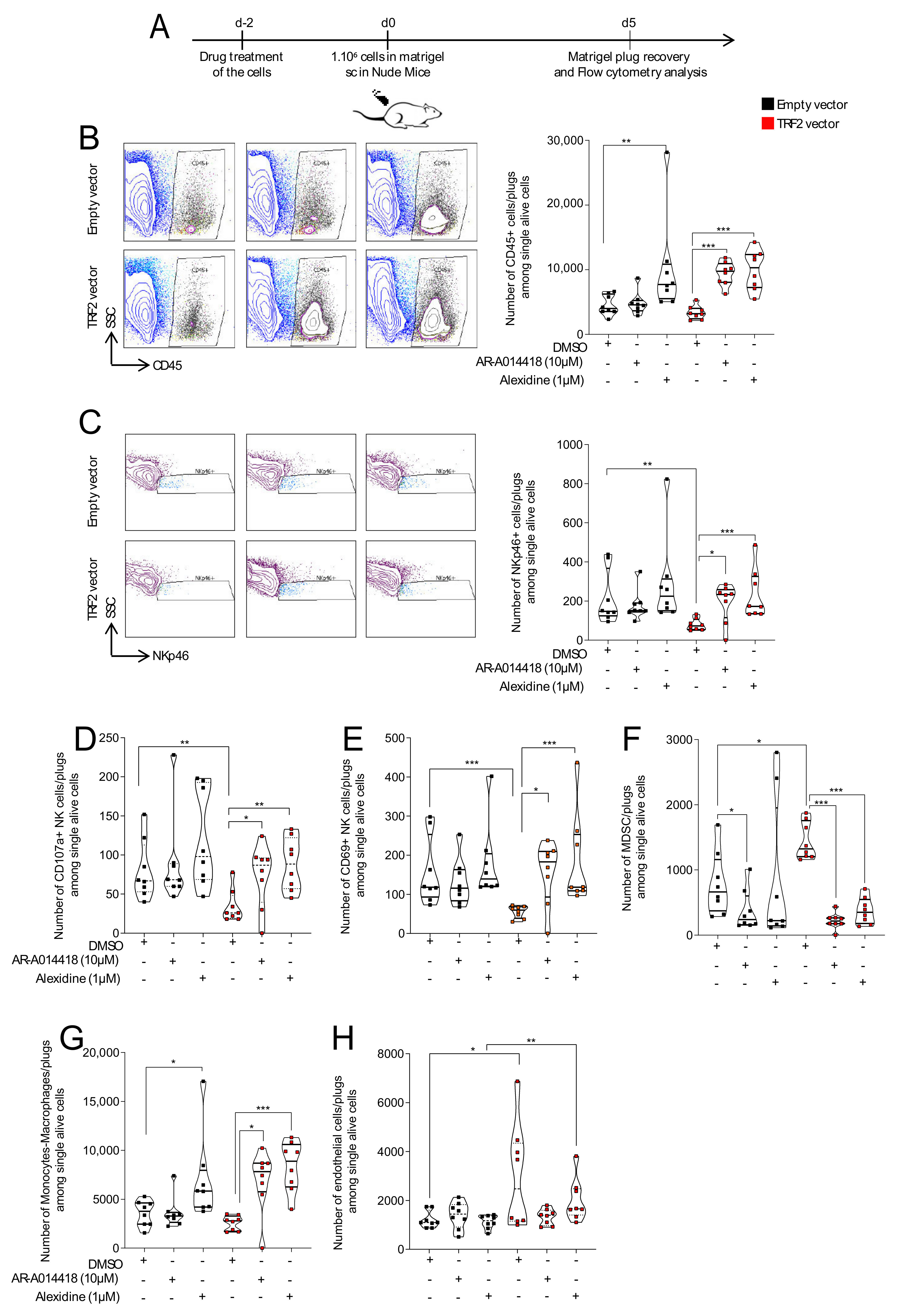 Cancers 13 02998 g003