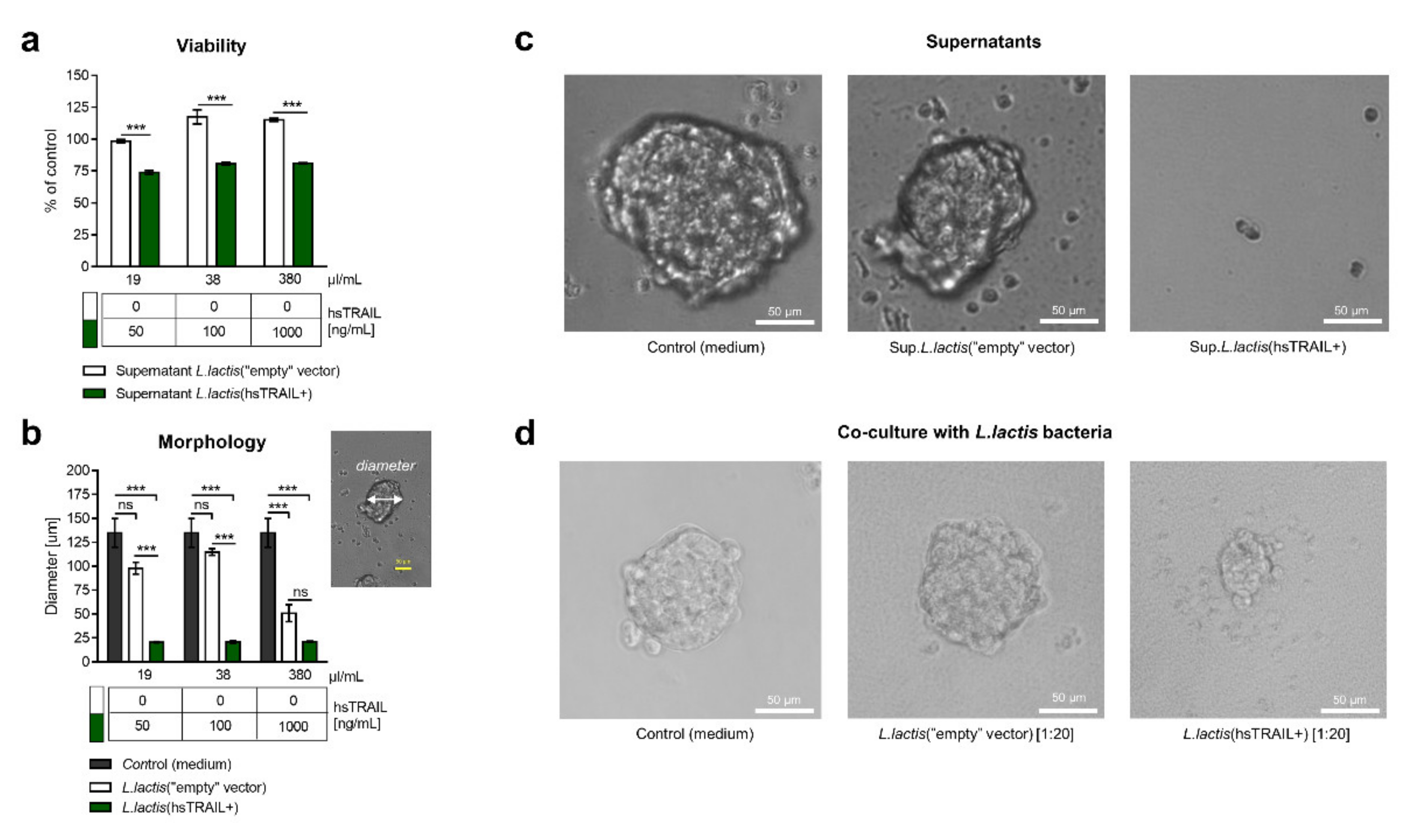 Cancers 13 03004 g002