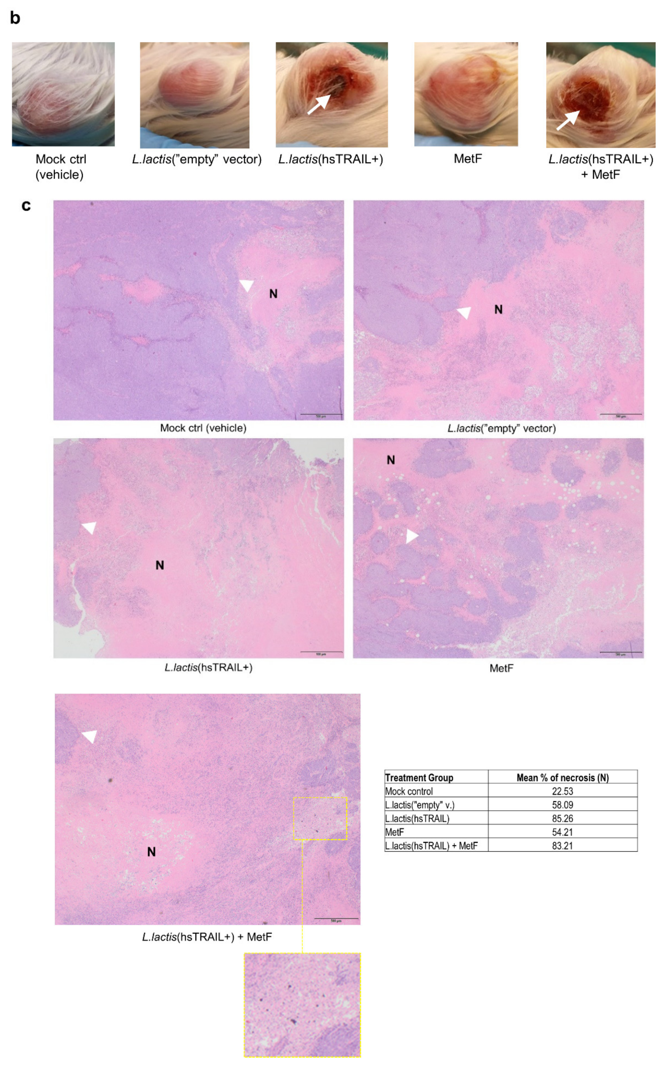 Cancers 13 03004 g005b