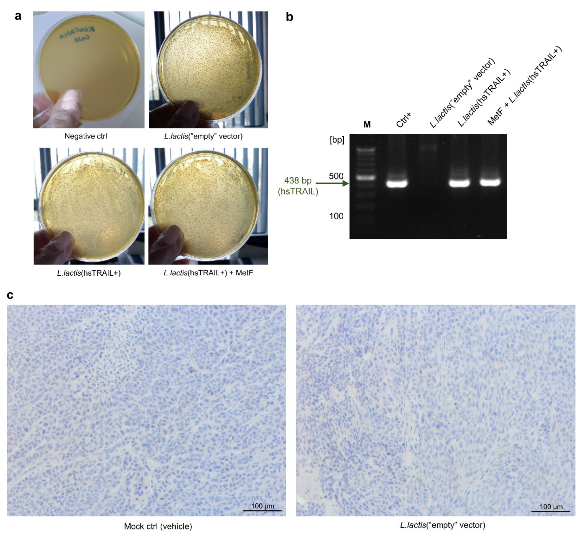 Cancers 13 03004 g006a