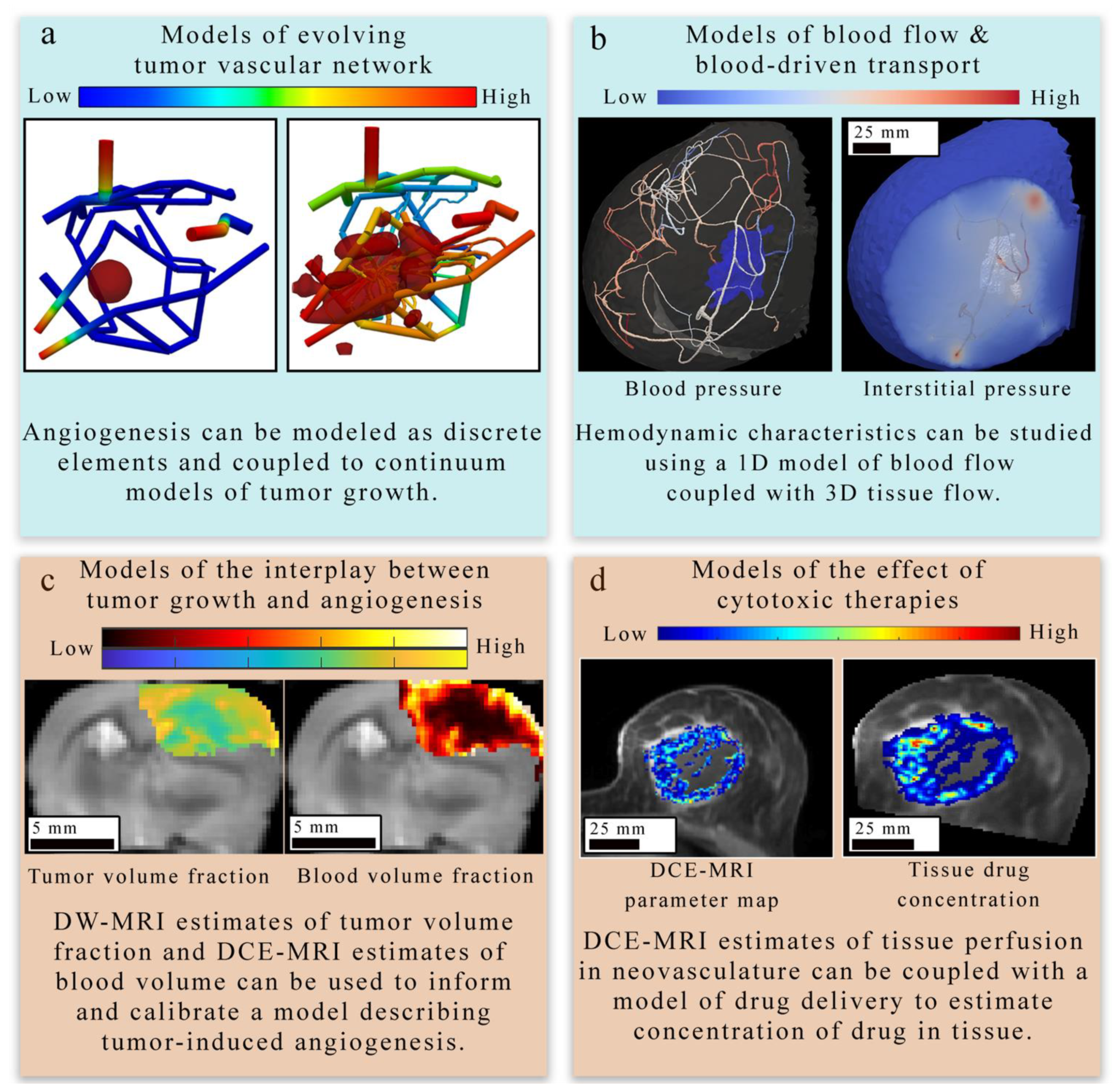 Cancers 13 03008 g004