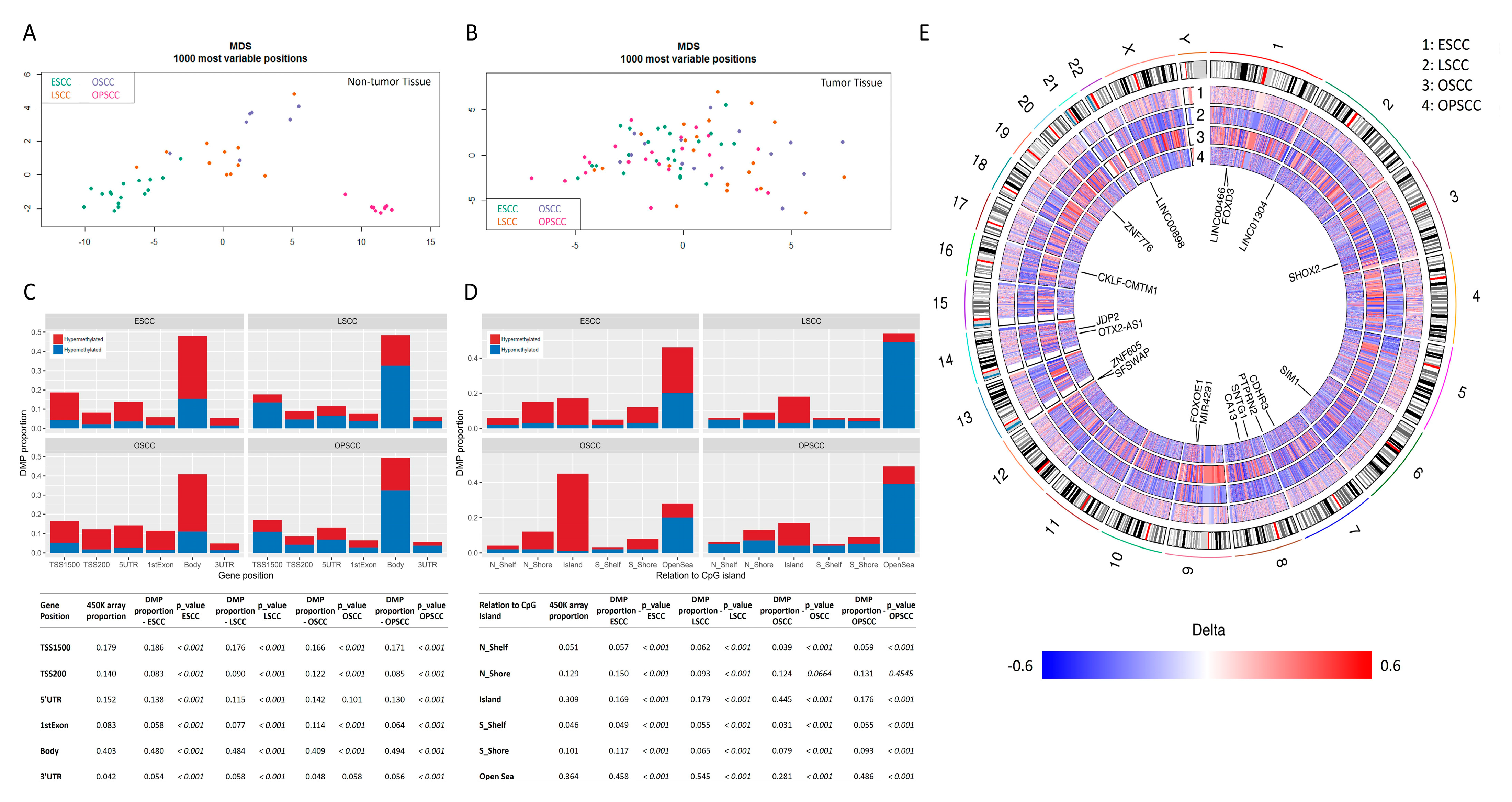 Cancers 13 03014 g001