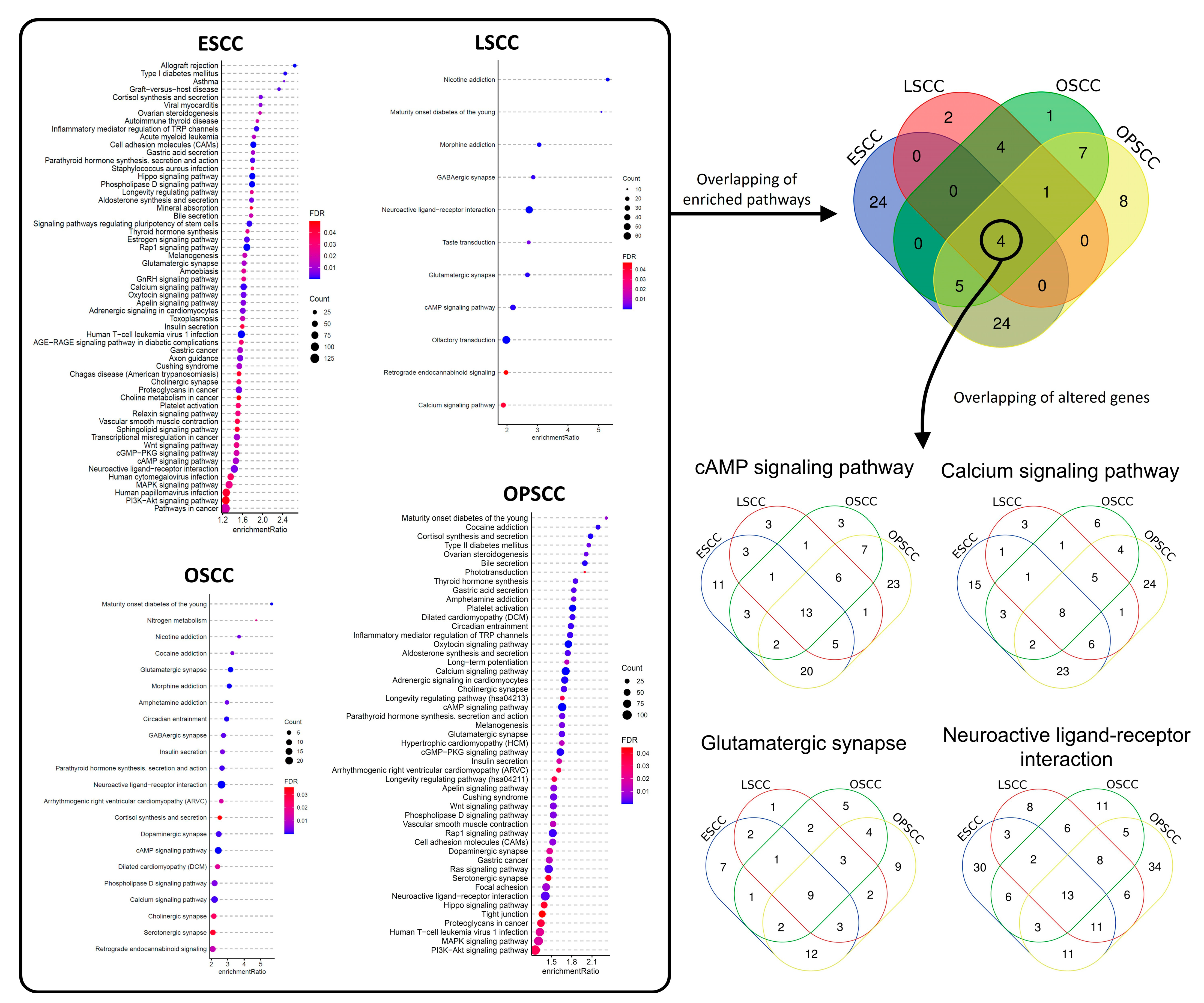 Cancers 13 03014 g002