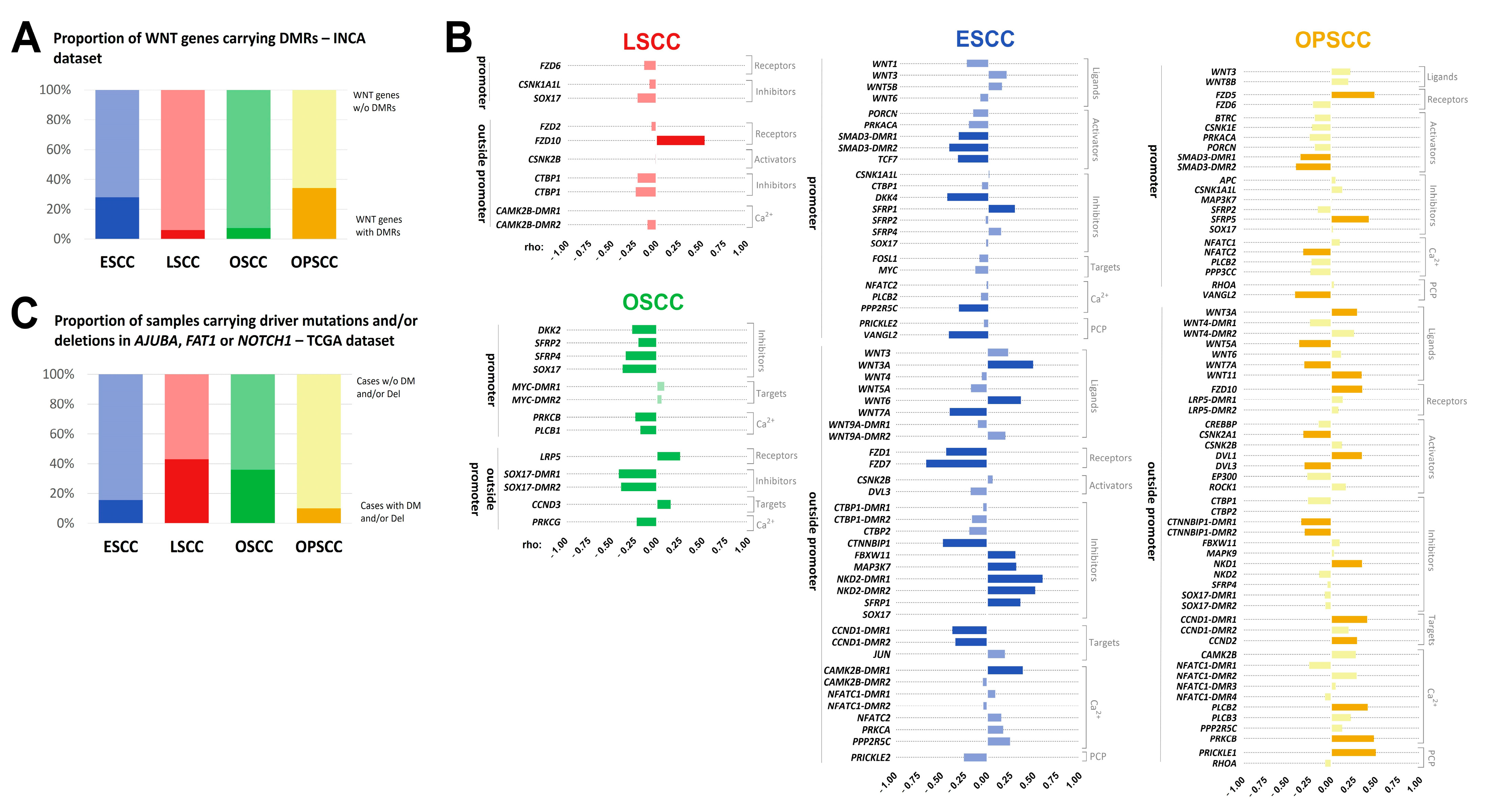 Cancers 13 03014 g003