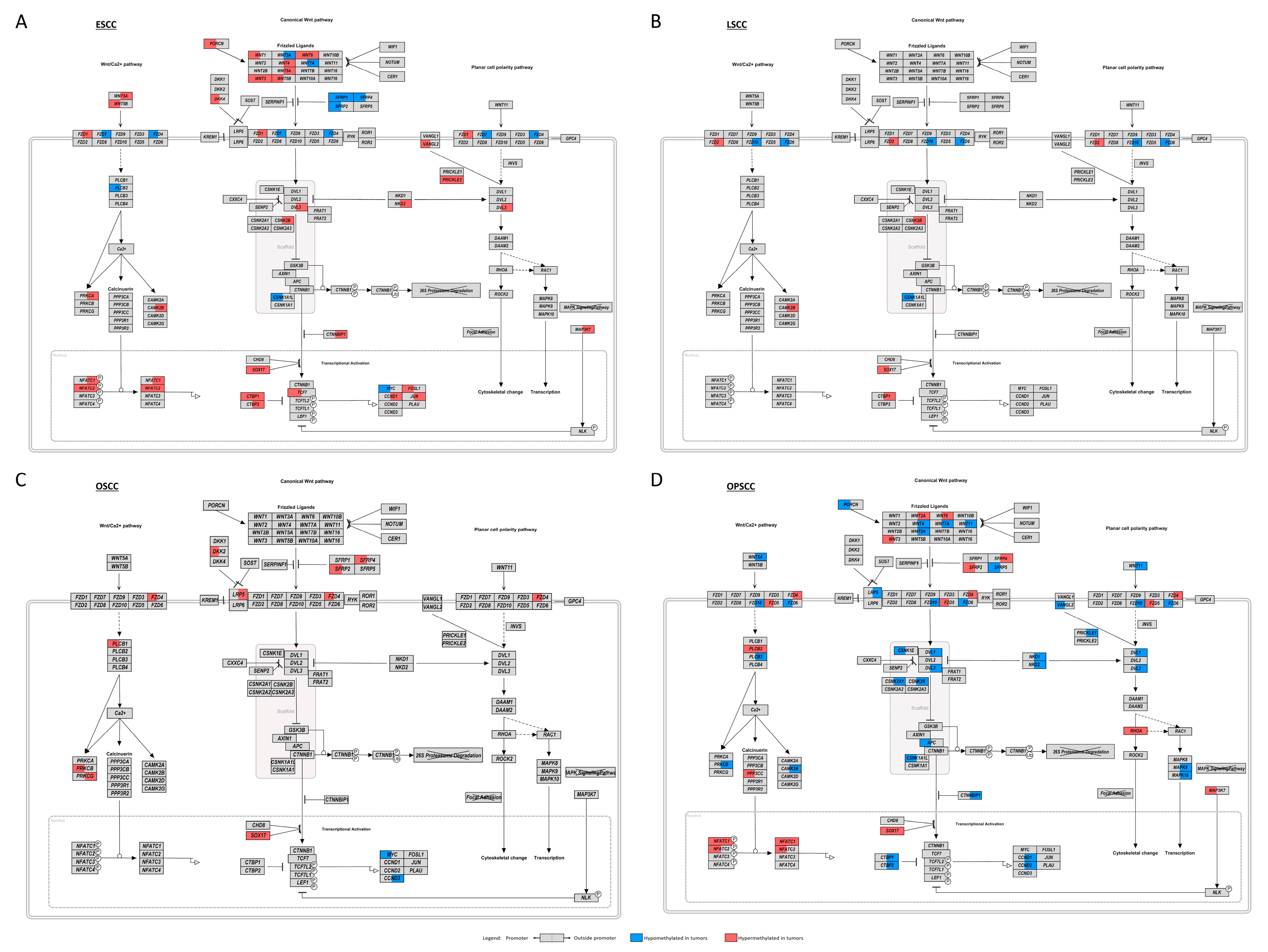 Cancers 13 03014 g004