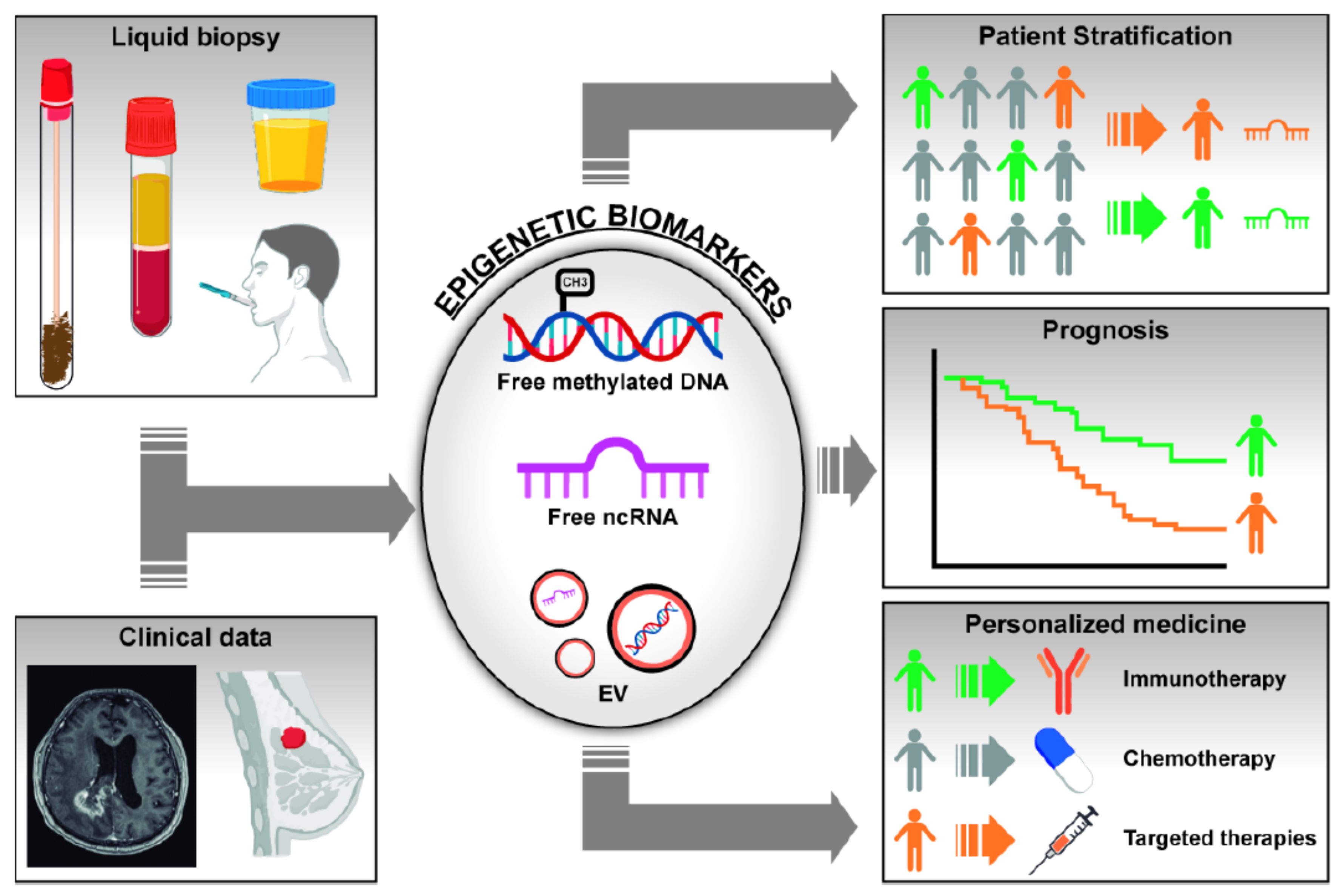 Cancers 13 03016 g001