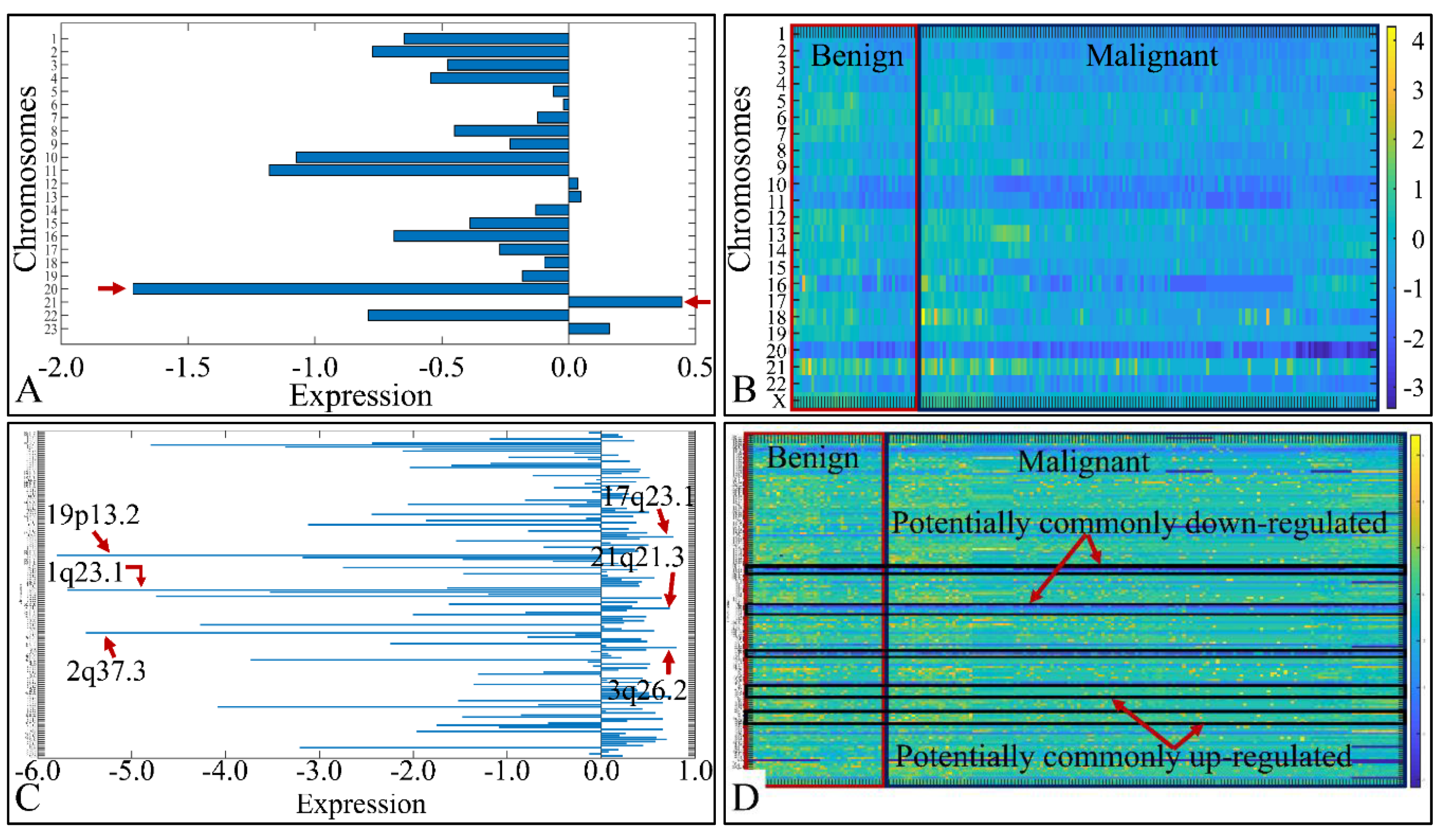 Cancers 13 03028 g002 Cancers 13 03028 g002
