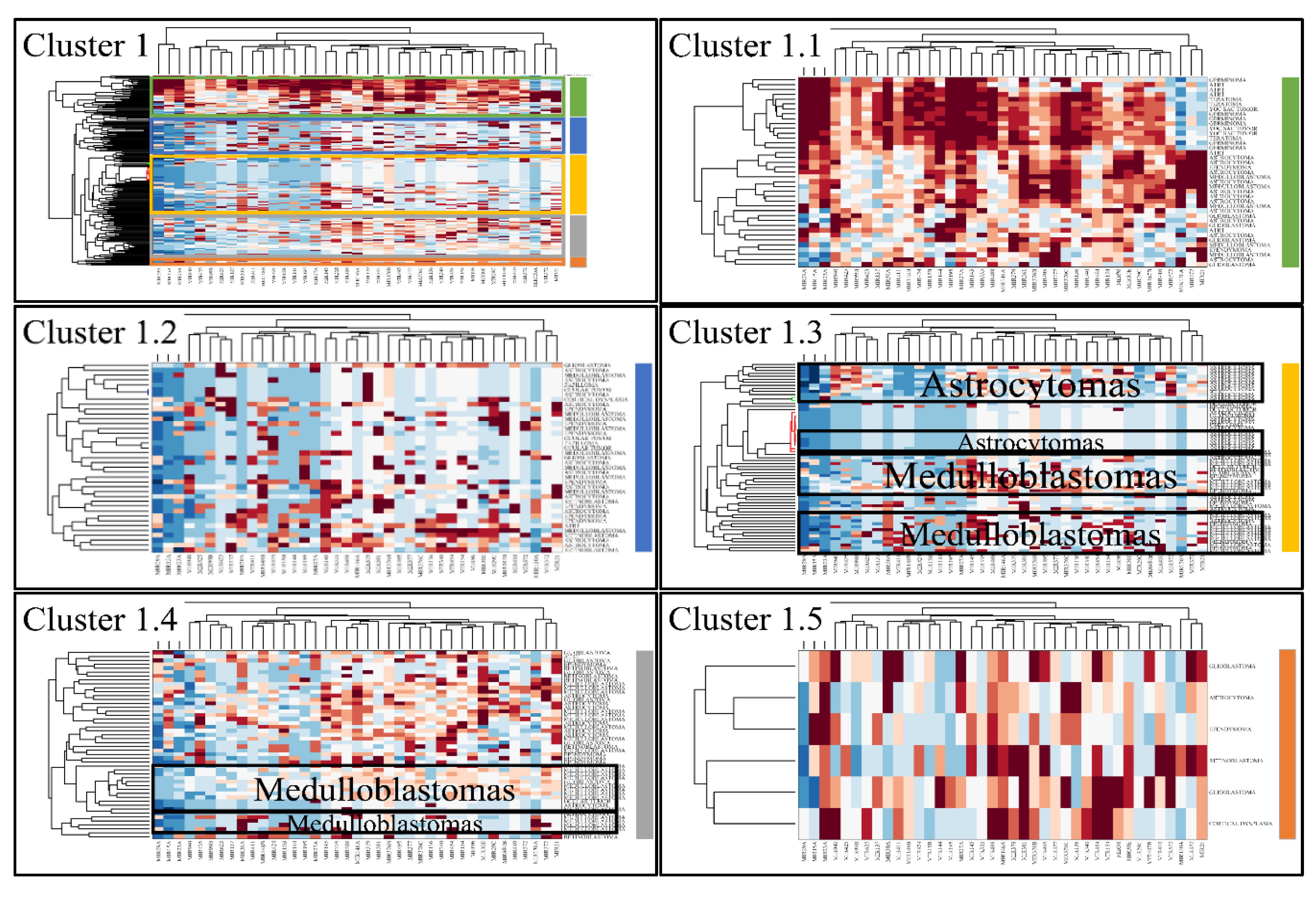 Cancers 13 03028 g004 Cancers 13 03028 g004