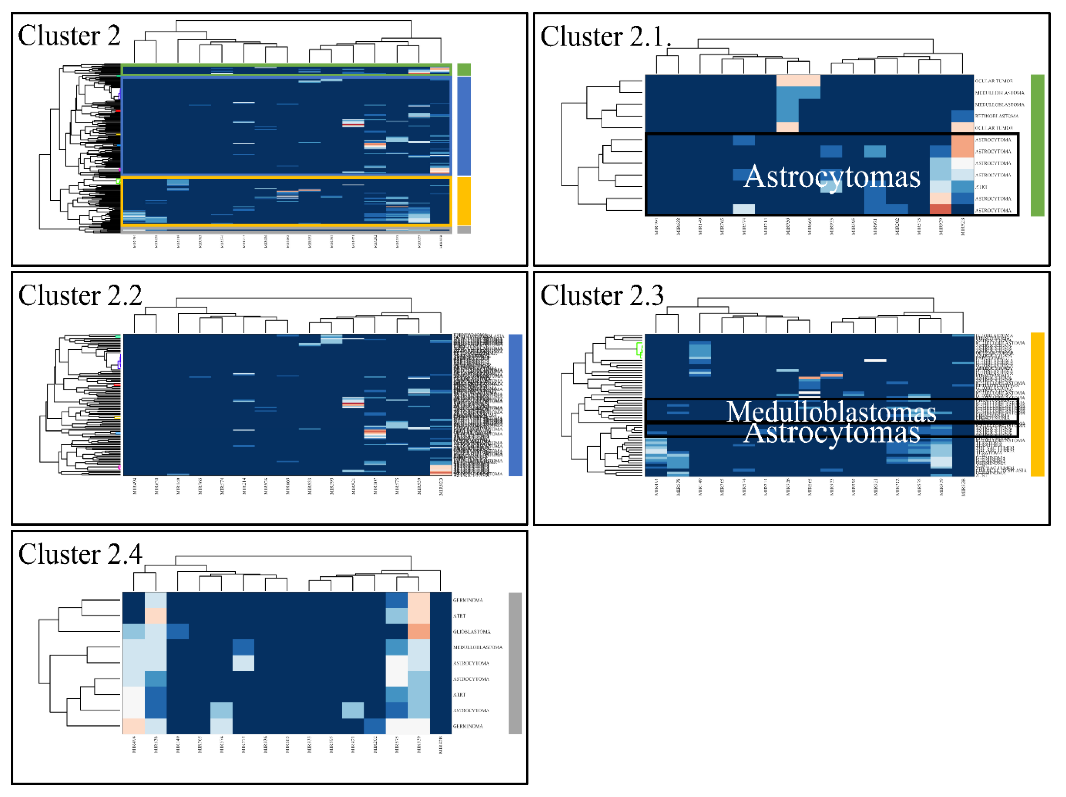 Cancers 13 03028 g005 Cancers 13 03028 g005