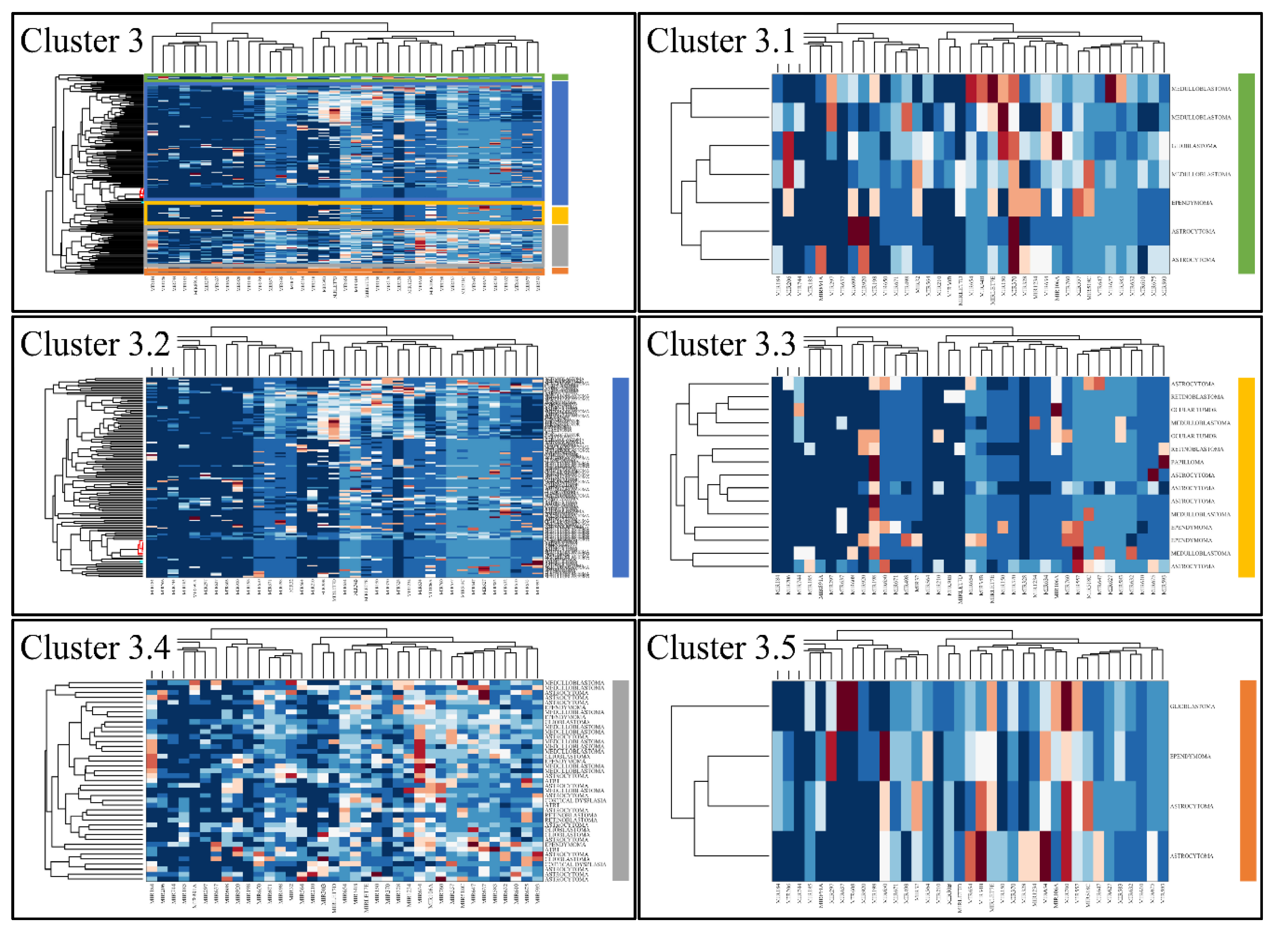 Cancers 13 03028 g006 Cancers 13 03028 g006