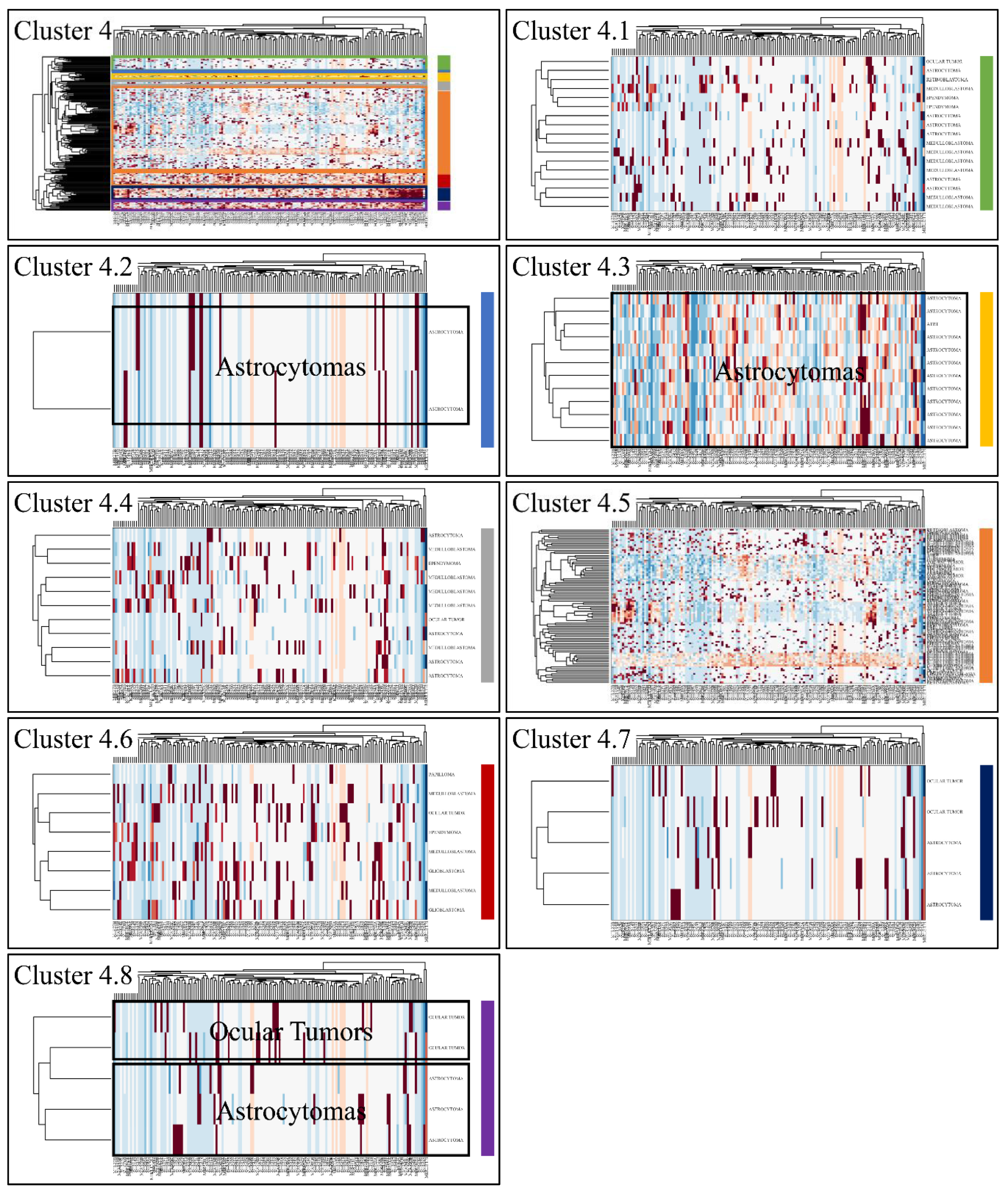 Cancers 13 03028 g007 Cancers 13 03028 g007