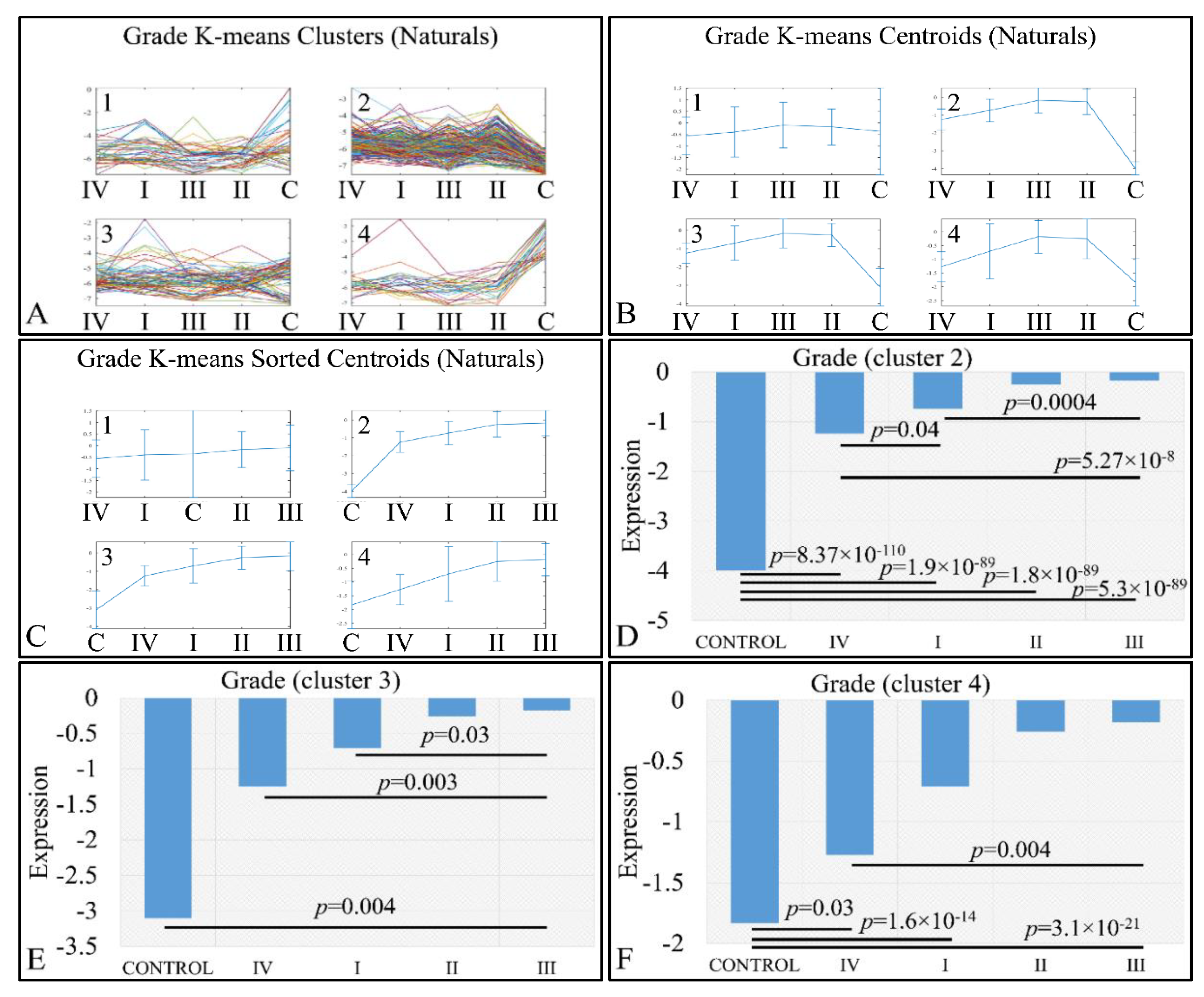 Cancers 13 03028 g010 Cancers 13 03028 g010