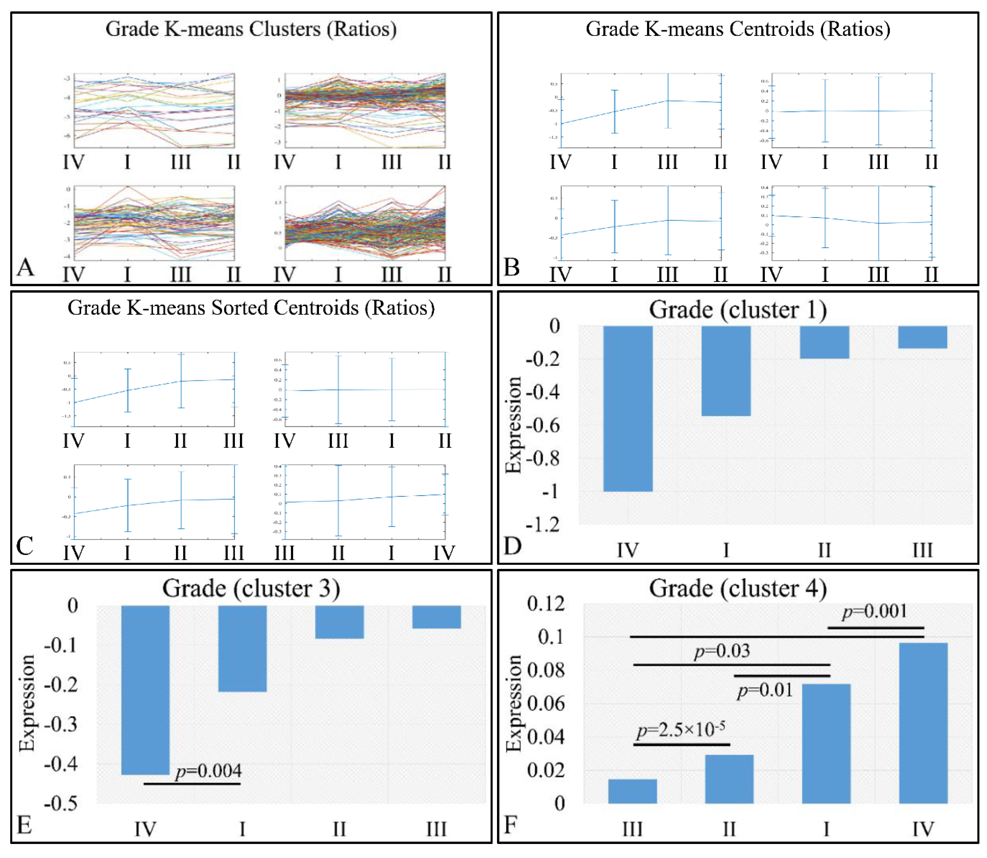 Cancers 13 03028 g011 Cancers 13 03028 g011