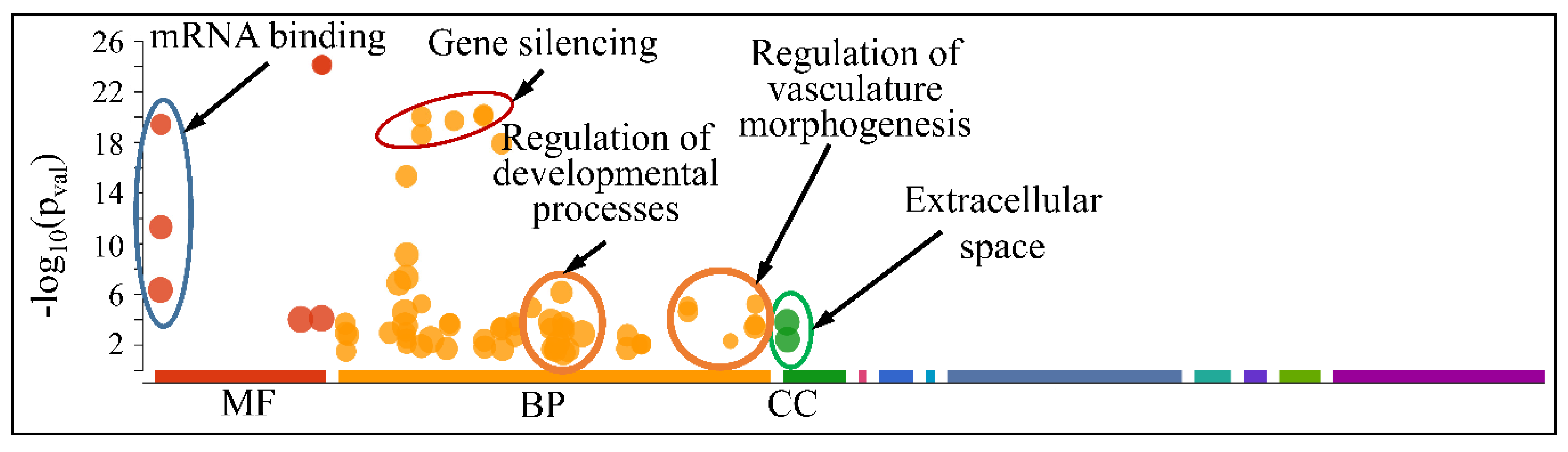 Cancers 13 03028 g012 Cancers 13 03028 g012
