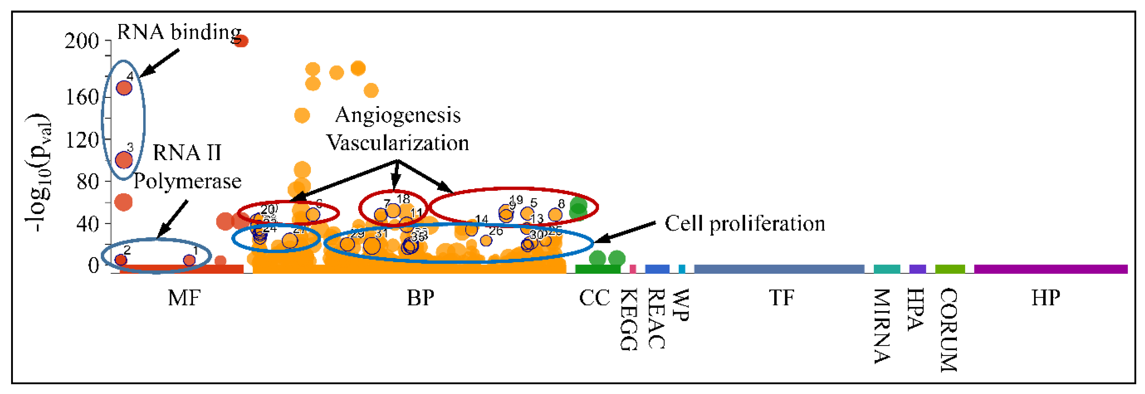 Cancers 13 03028 g016 Cancers 13 03028 g016