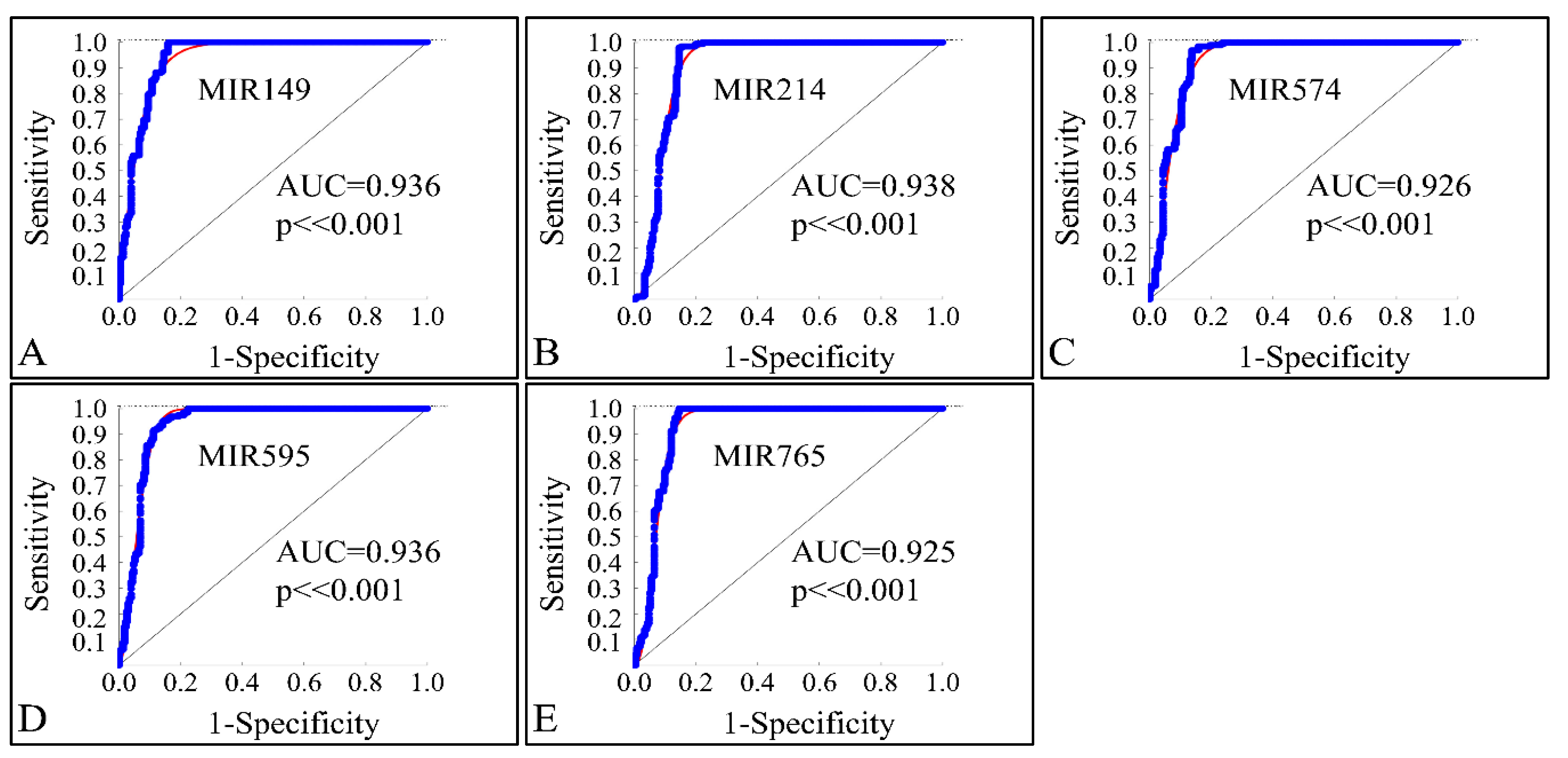 Cancers 13 03028 g017 Cancers 13 03028 g017