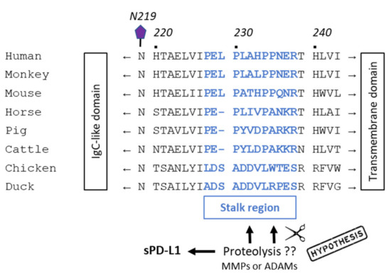 Cancers 13 03034 g004