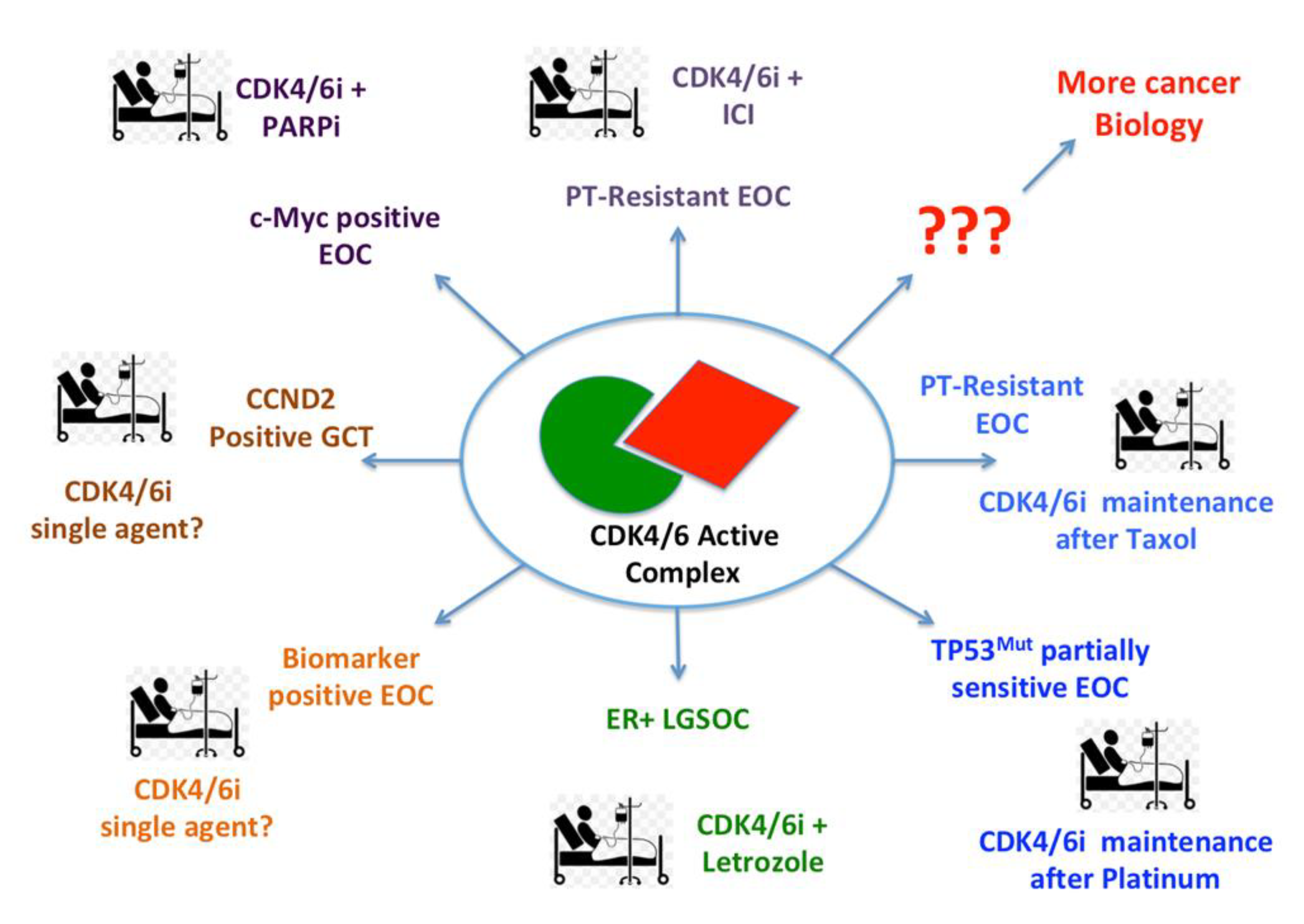 Cancers 13 03035 g001