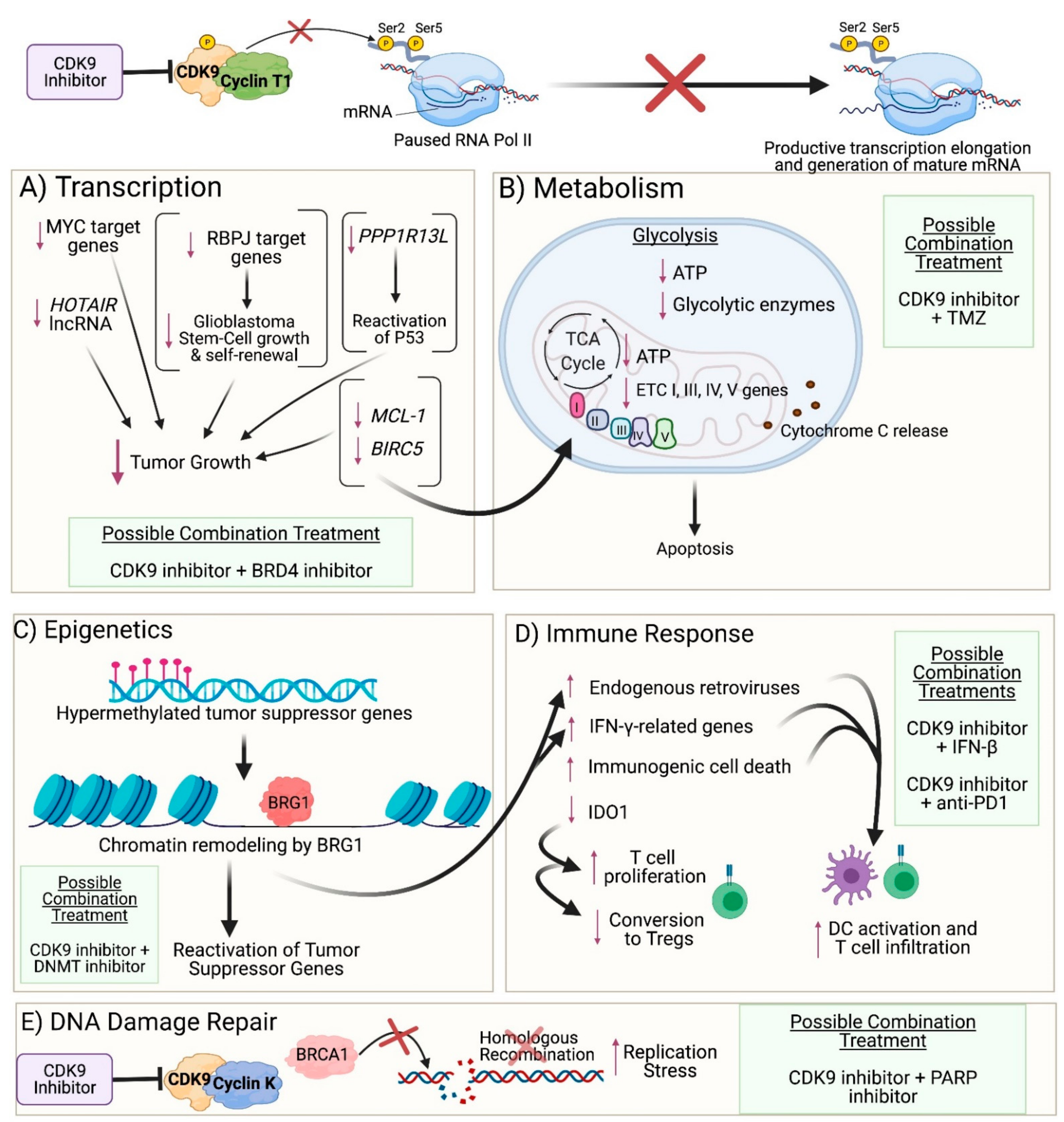 Cancers 13 03039 g002