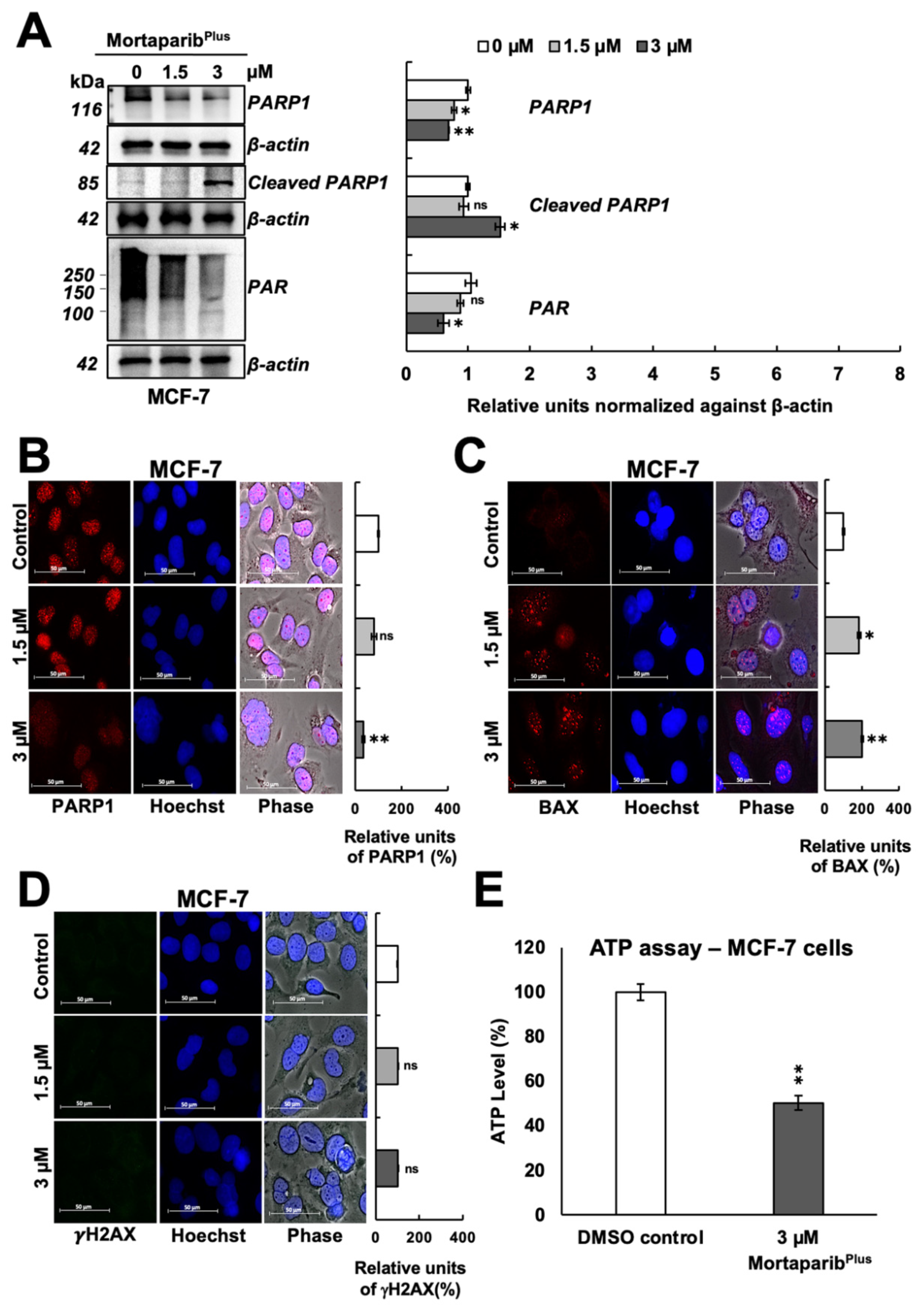 Cancers 13 03043 g005