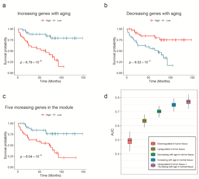 Cancers 13 03045 g002