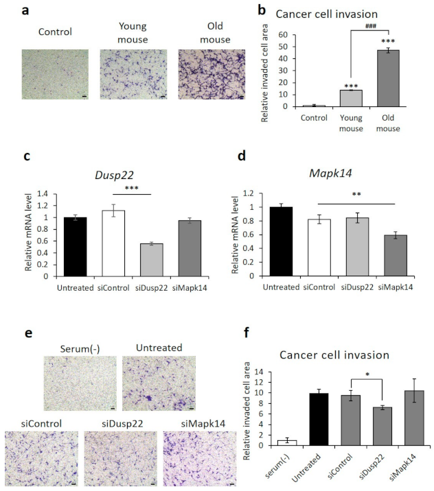 Cancers 13 03045 g004