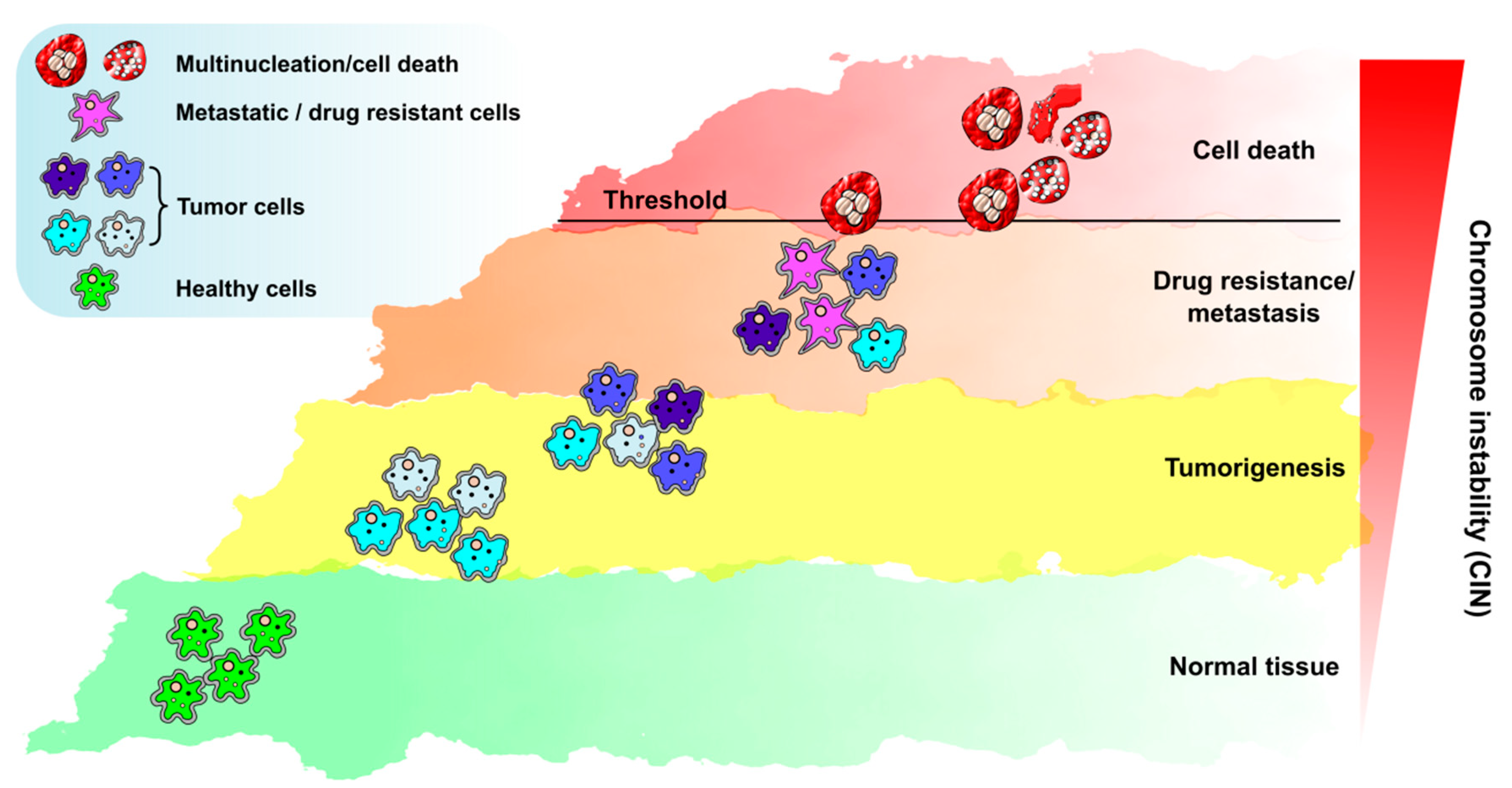 Cancers 13 03056 g003 Cancers 13 03056 g003