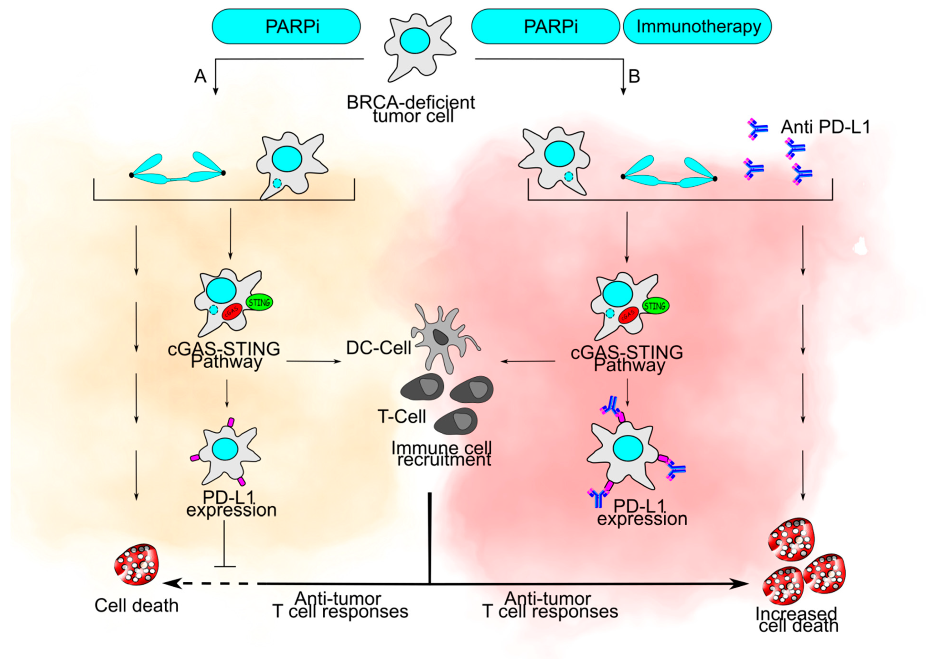 Cancers 13 03056 g004 Cancers 13 03056 g004