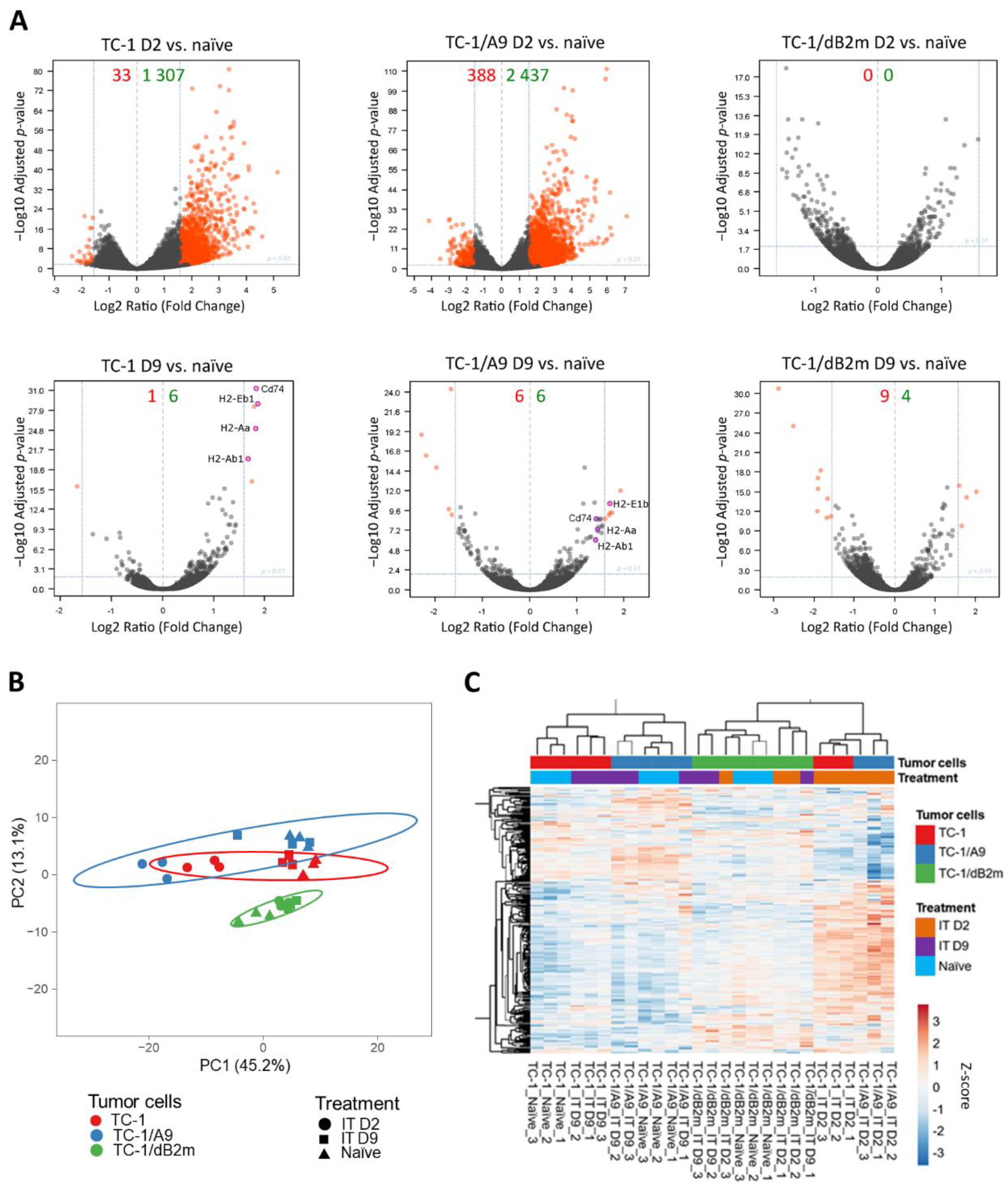 Cancers 13 03057 g001