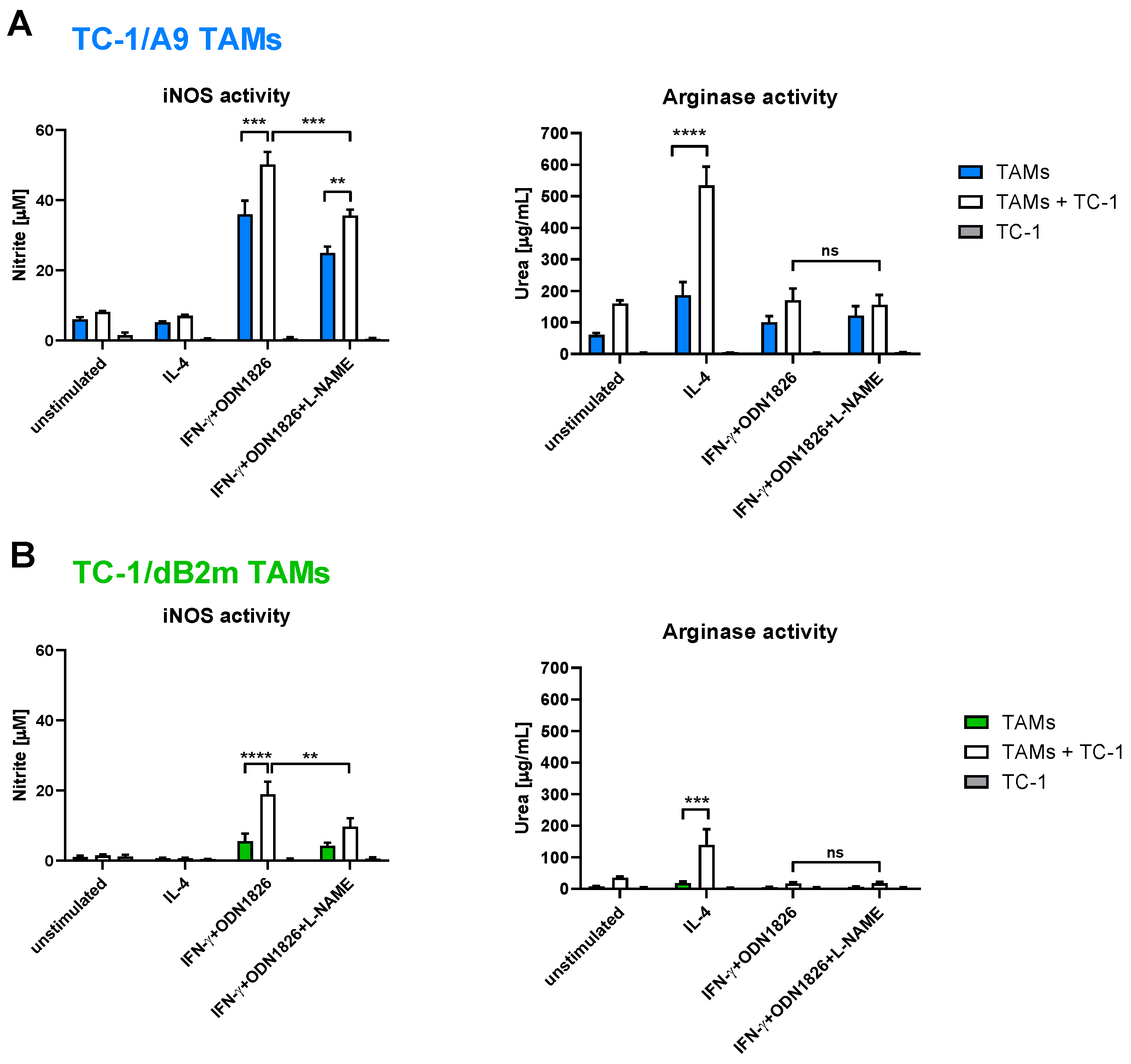 Cancers 13 03057 g004