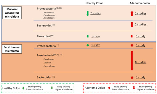 Cancers 13 03061 g002