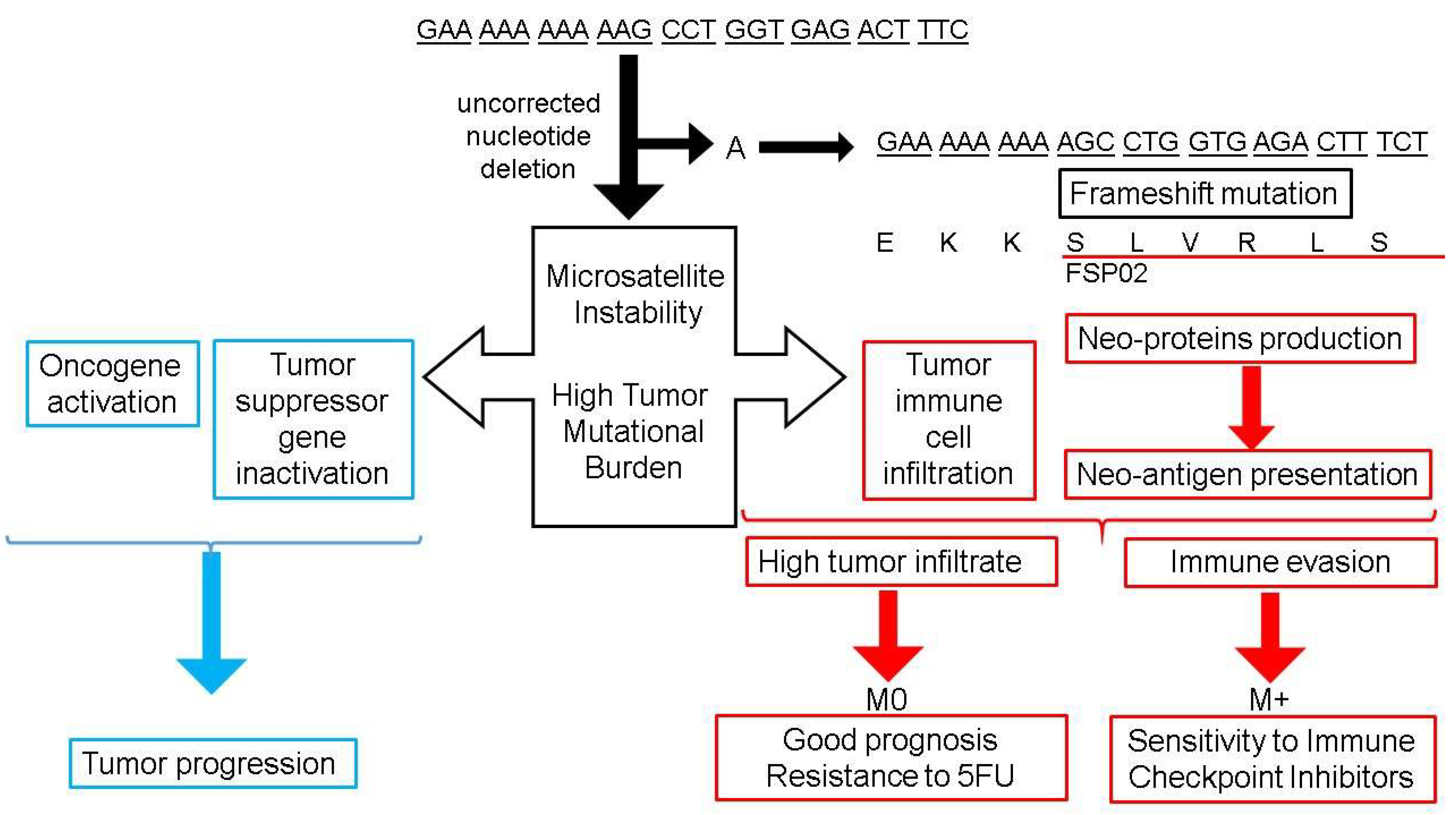 Cancers 13 03063 g002