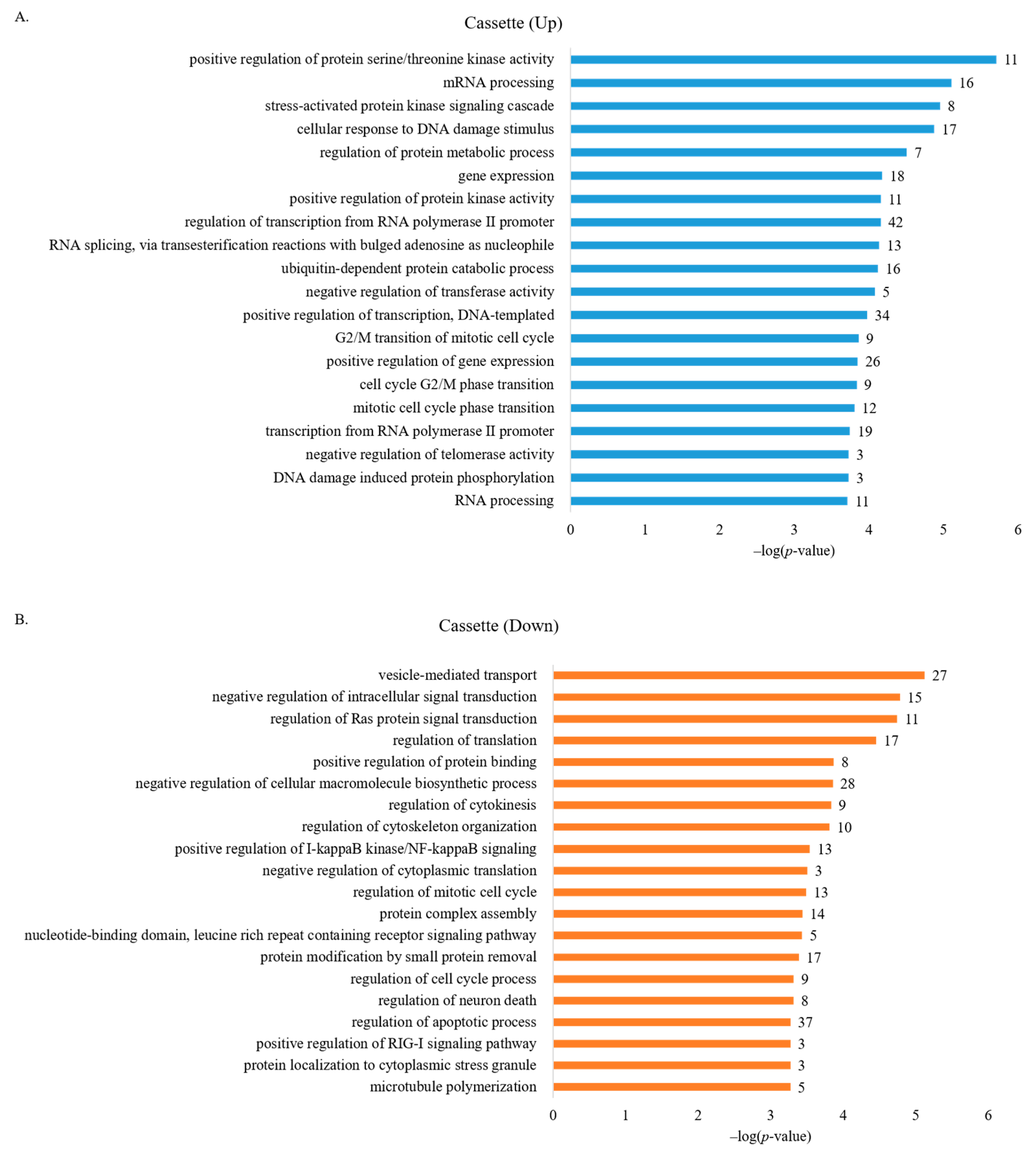 Cancers 13 03071 g002
