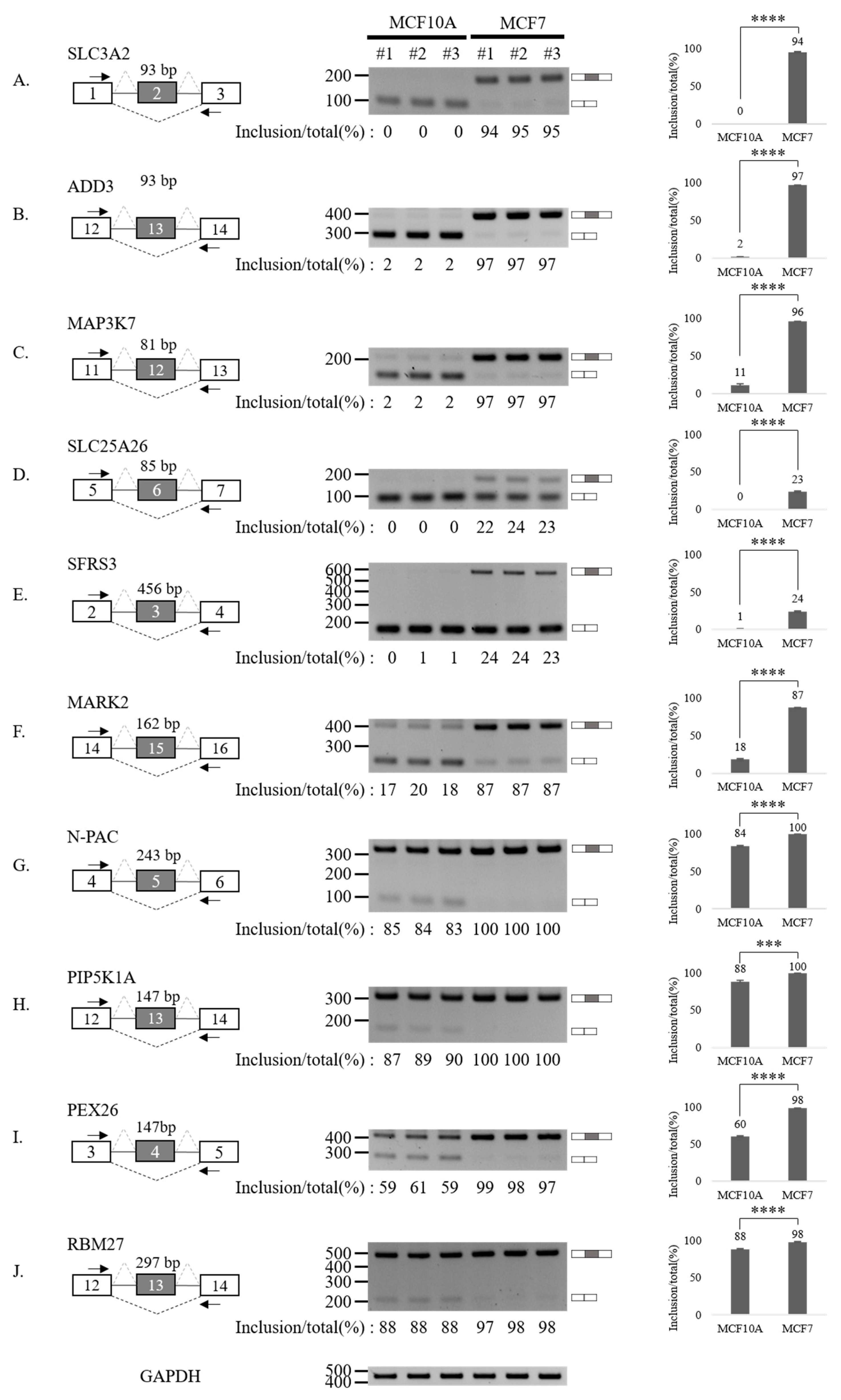 Cancers 13 03071 g003