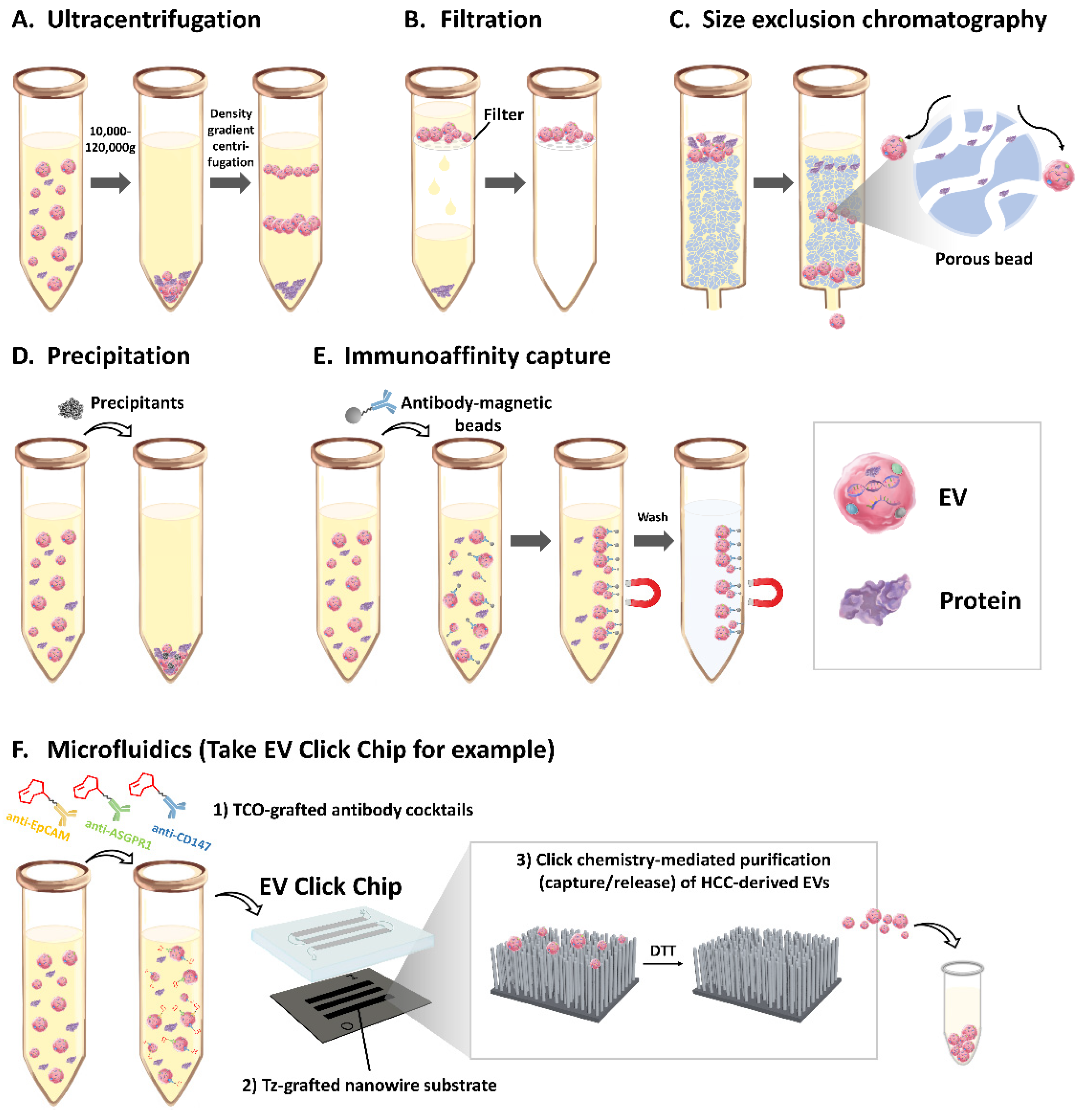 Cancers 13 03076 g001