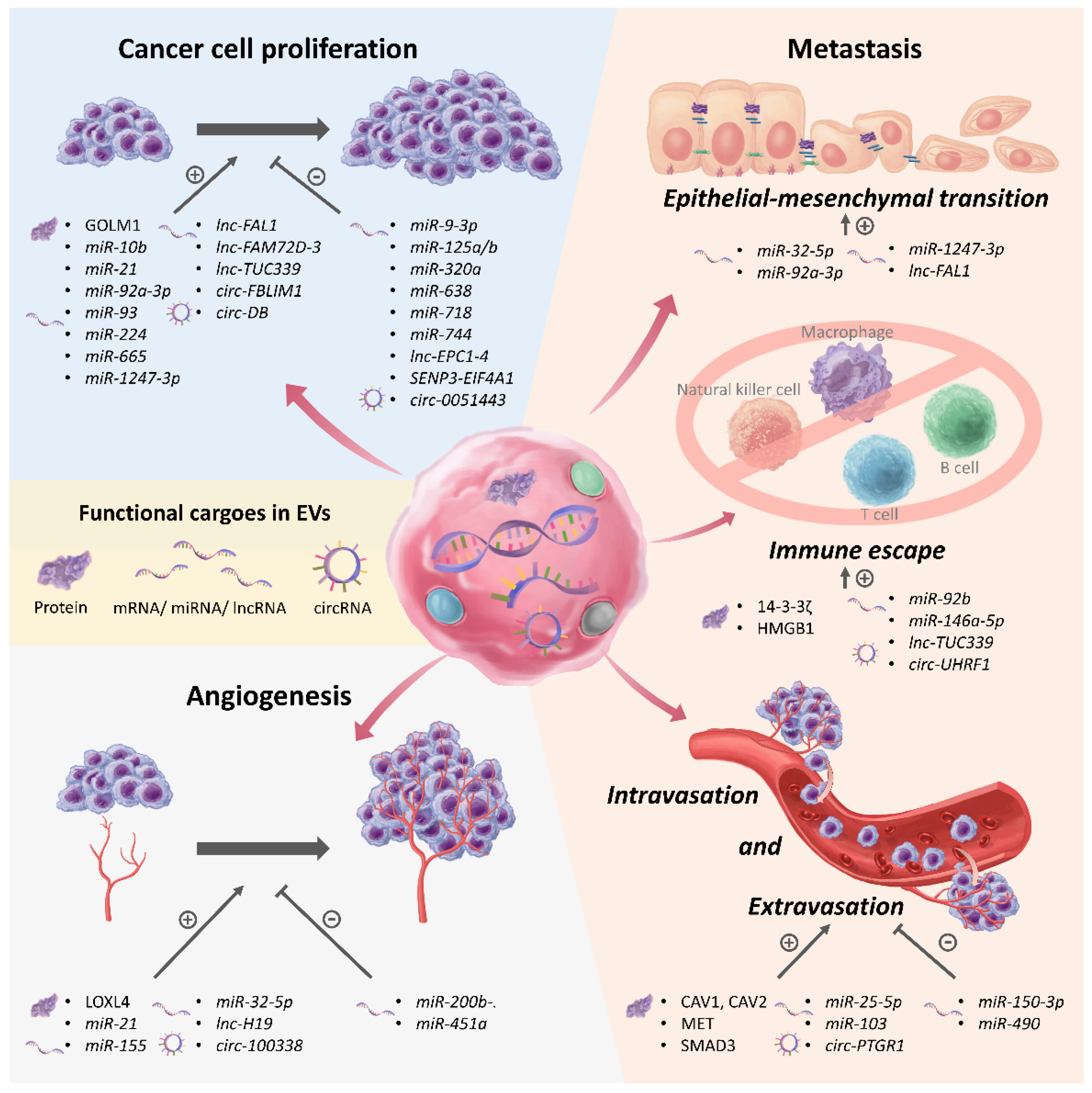 Cancers 13 03076 g002