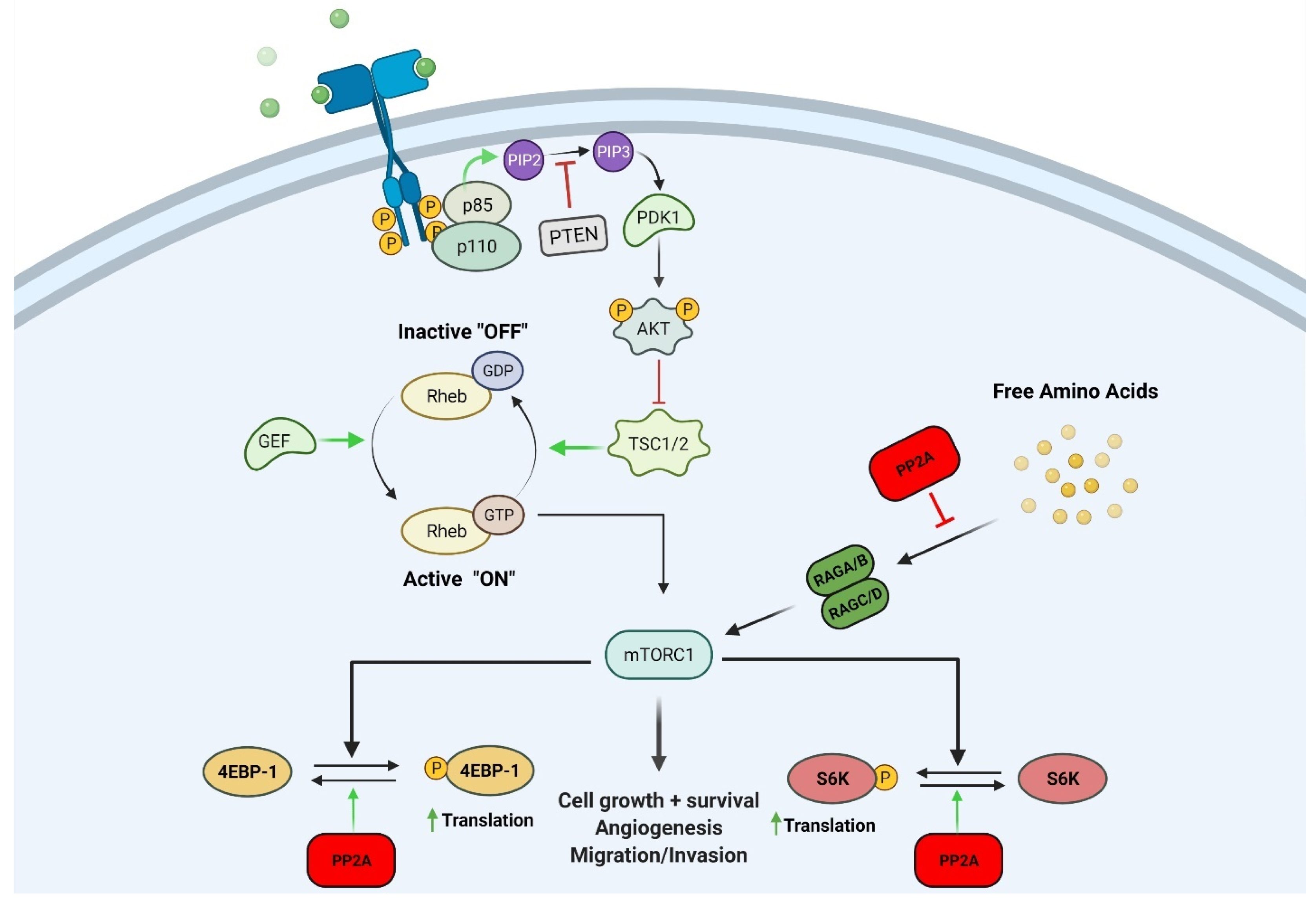 Cancers 13 03087 g001