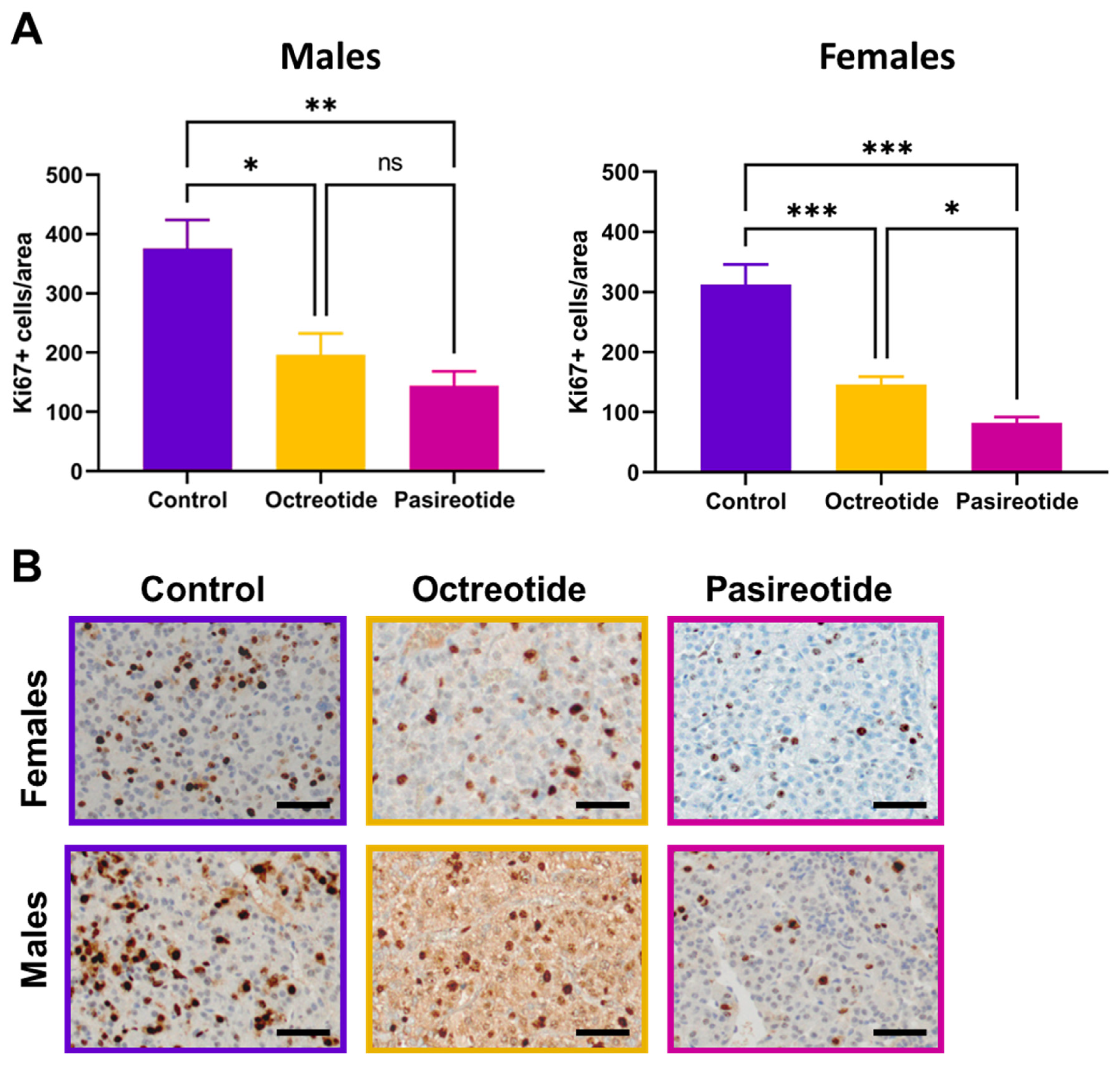 Cancers 13 03097 g004
