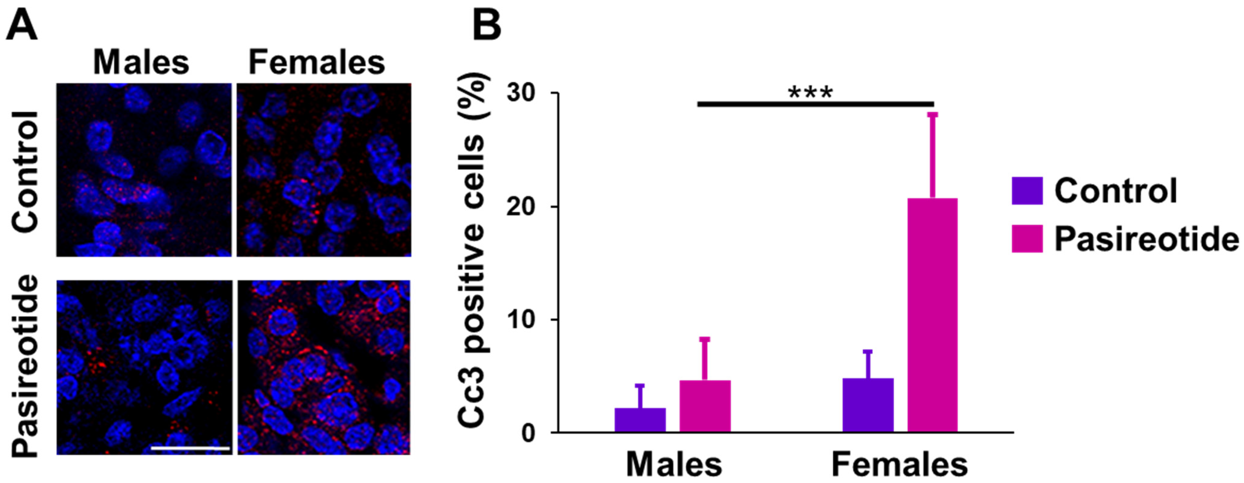 Cancers 13 03097 g007