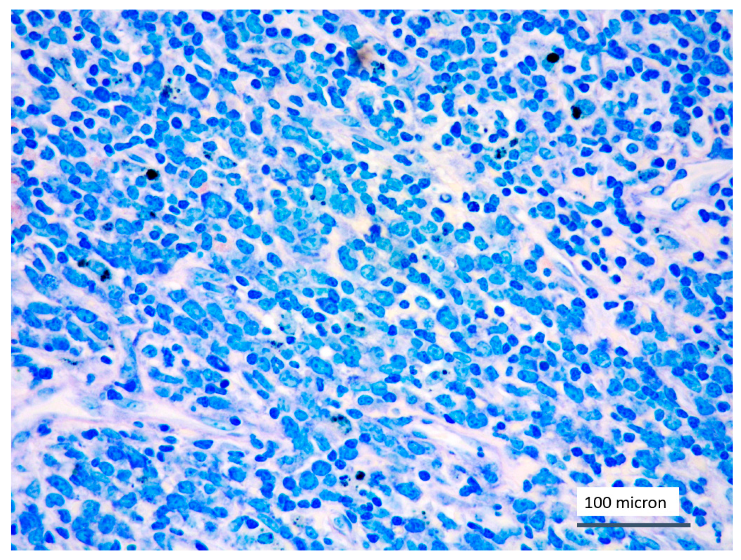 Cancers 13 03102 g001