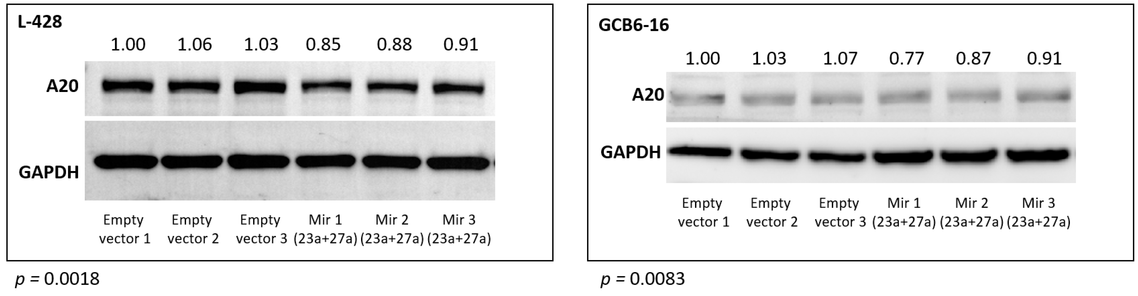 Cancers 13 03131 g003 Cancers 13 03131 g003