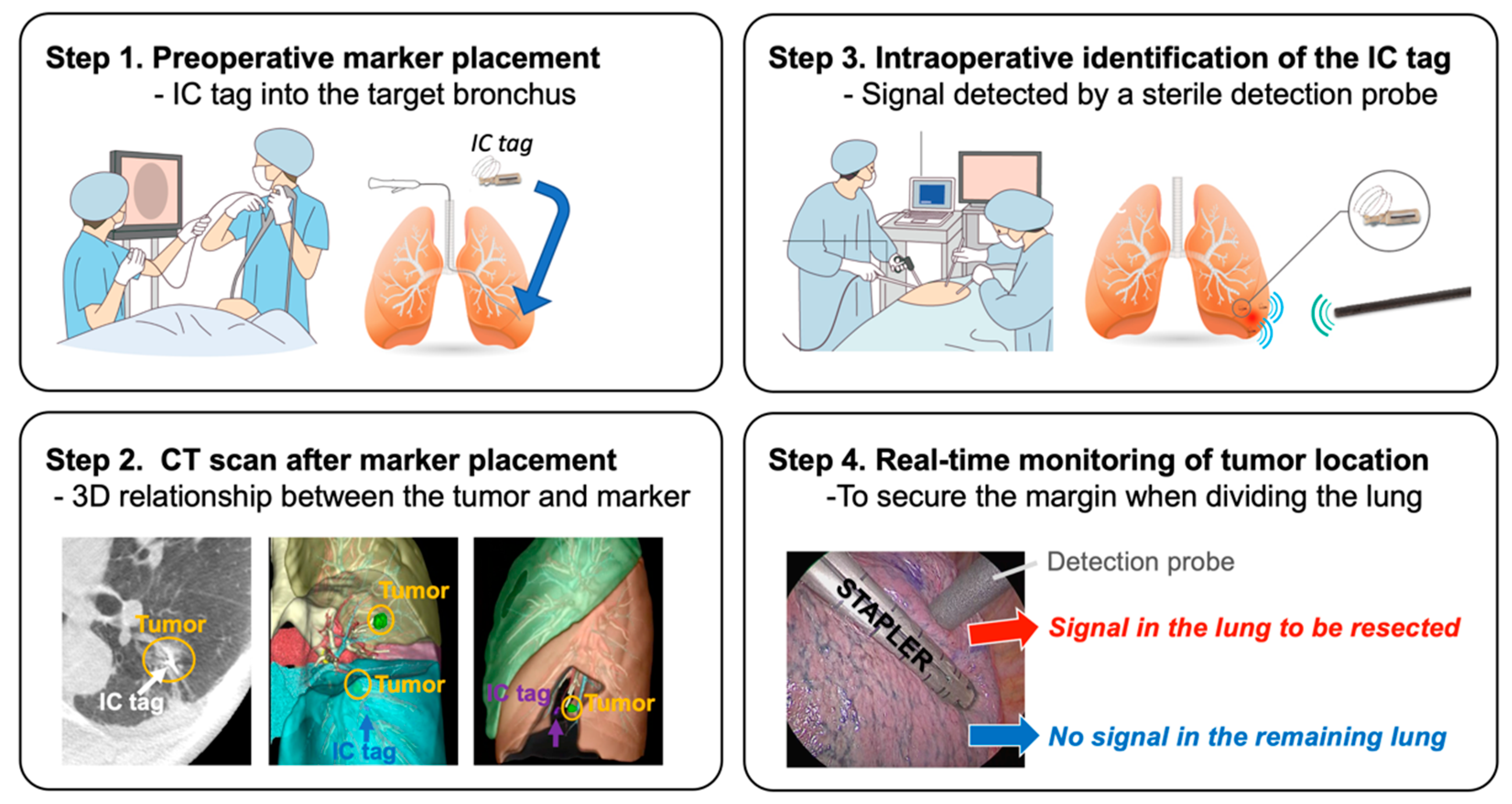 Cancers 13 03137 g002