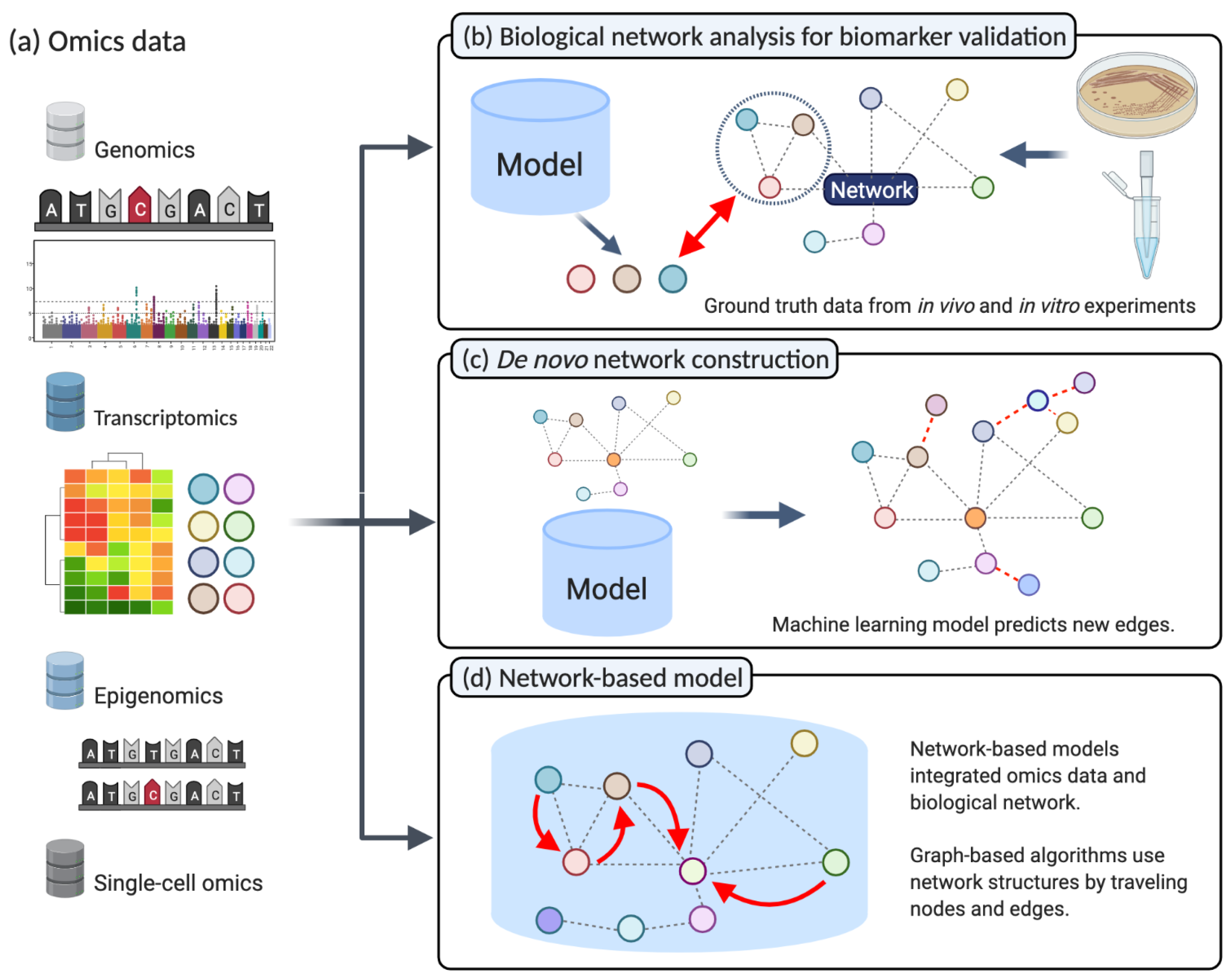 Cancers 13 03148 g002