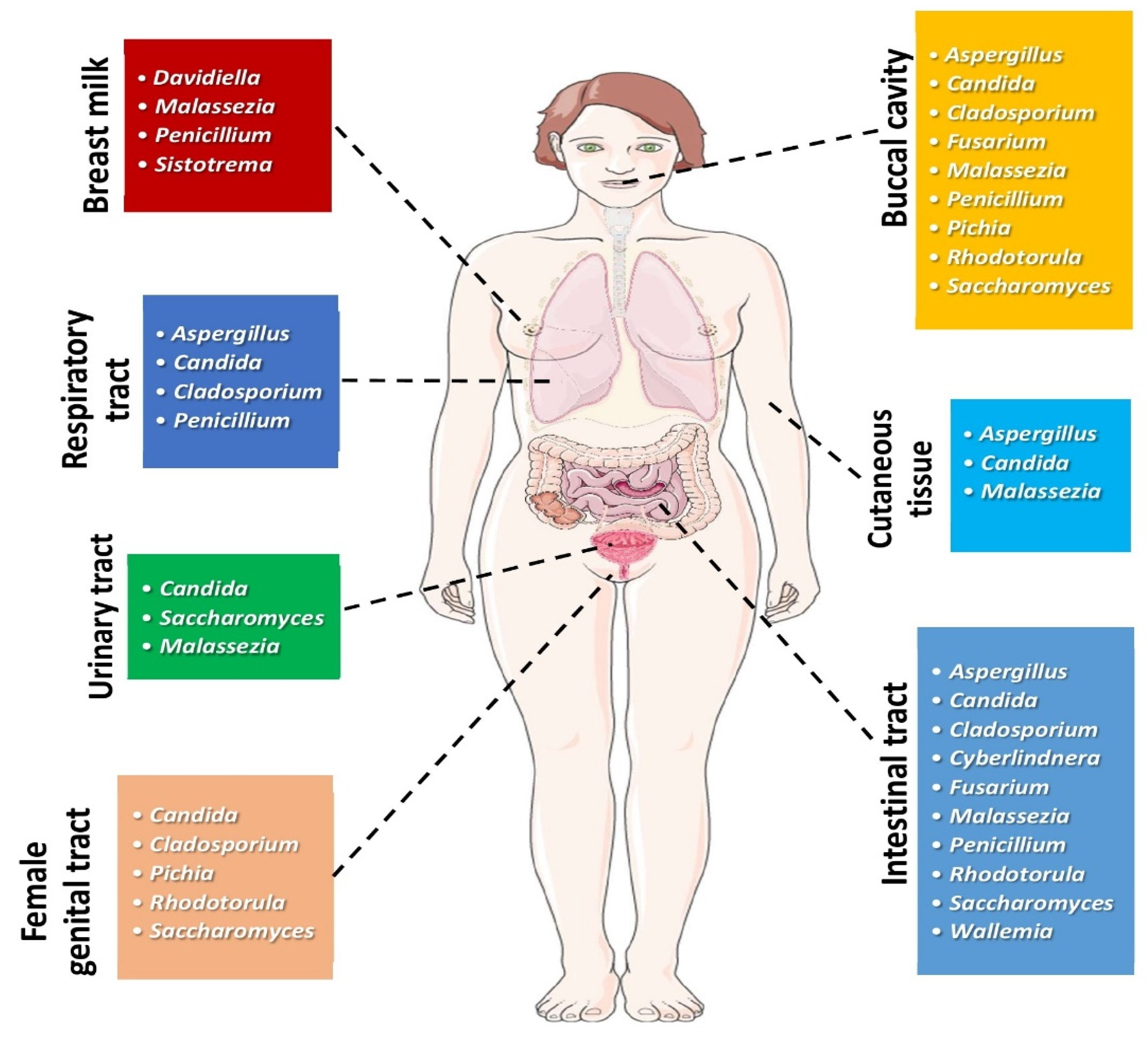Cancers 13 03149 g001