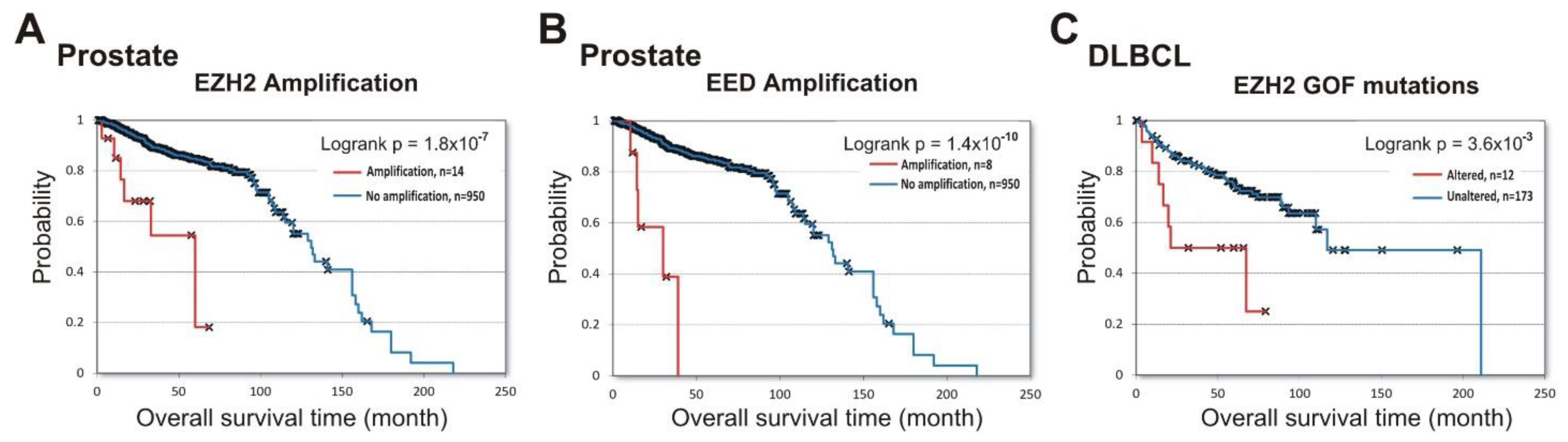 Cancers 13 03155 g003