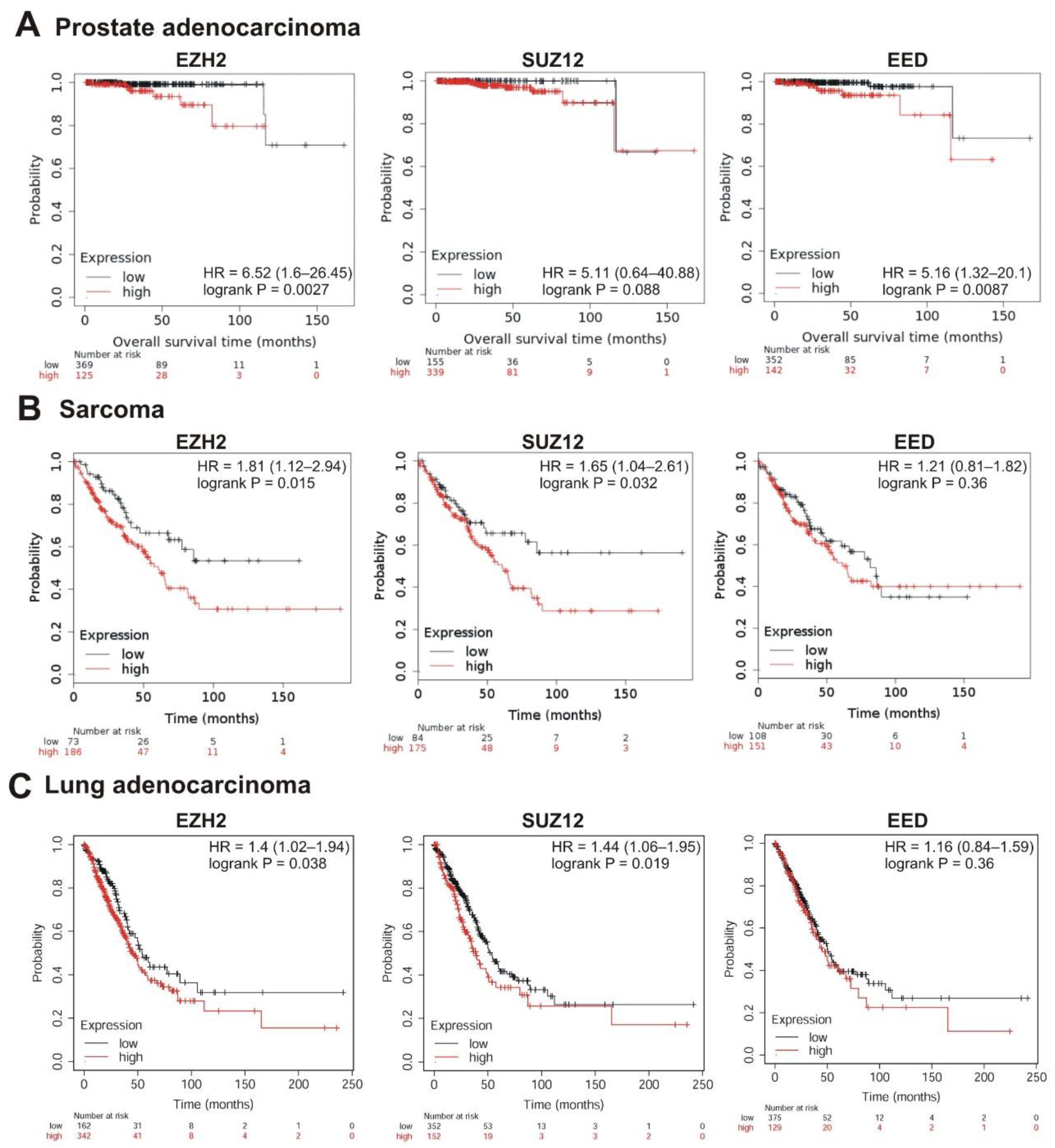 Cancers 13 03155 g005
