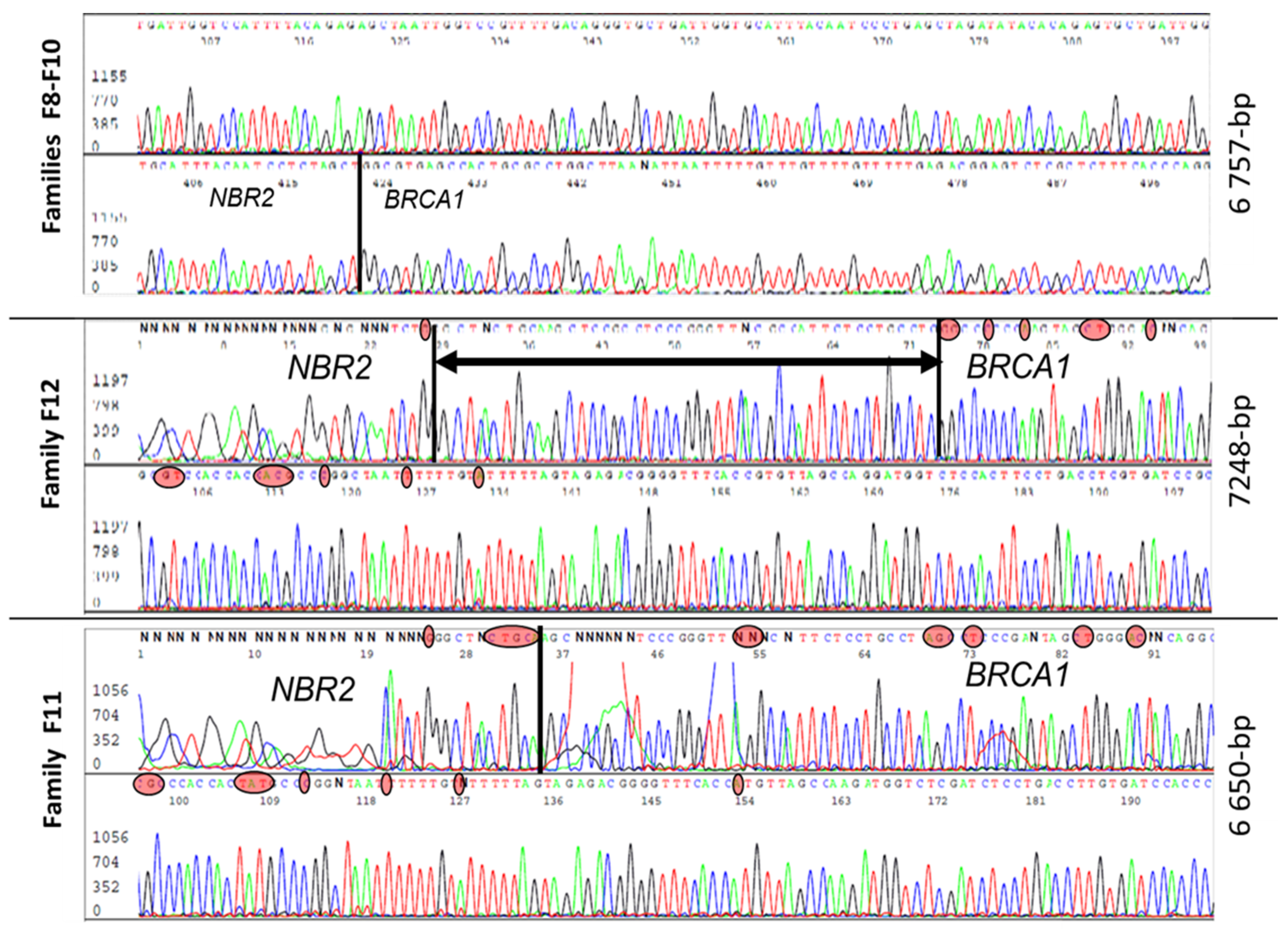 Cancers 13 03171 g004