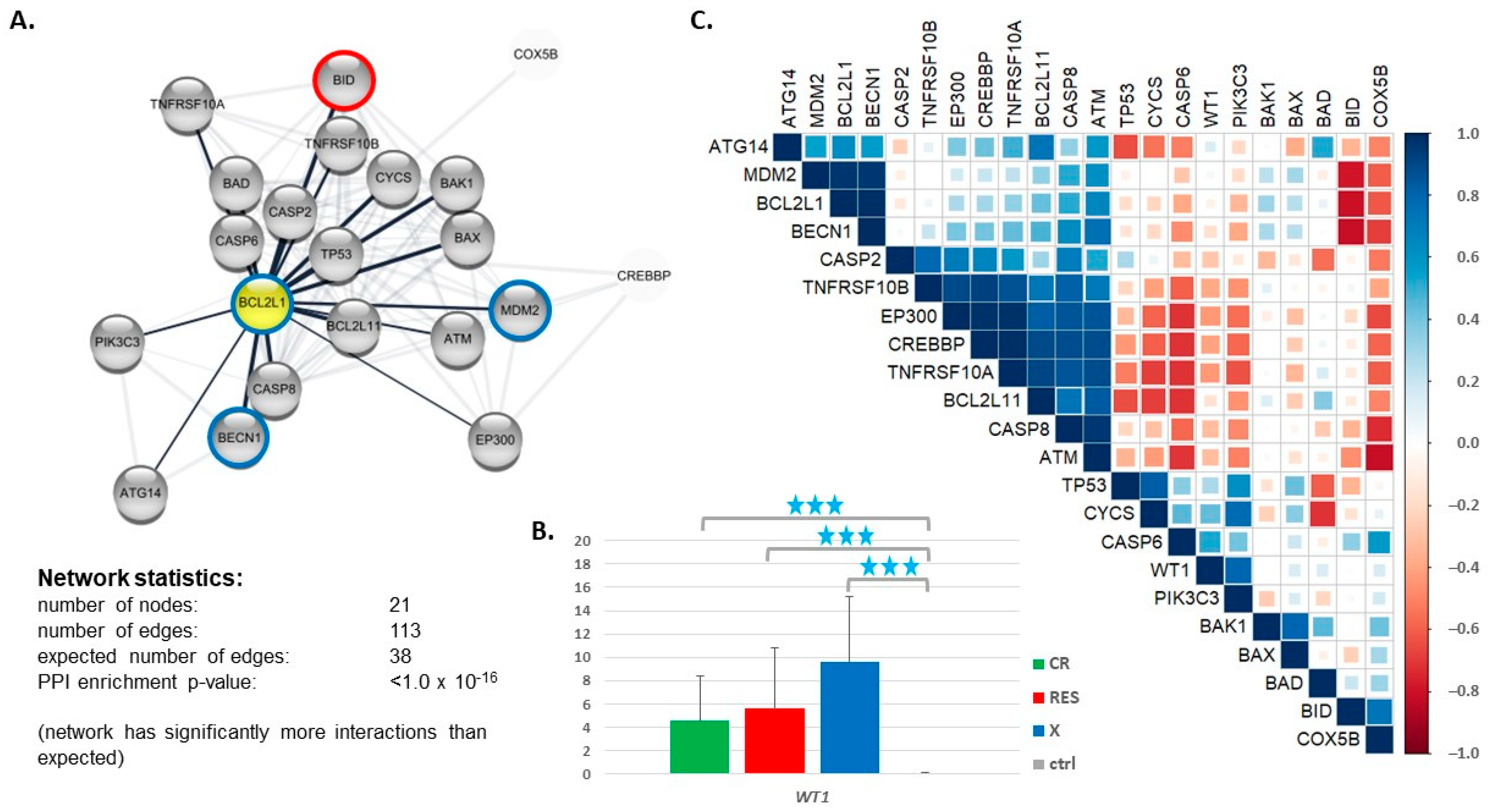 Cancers 13 03175 g004